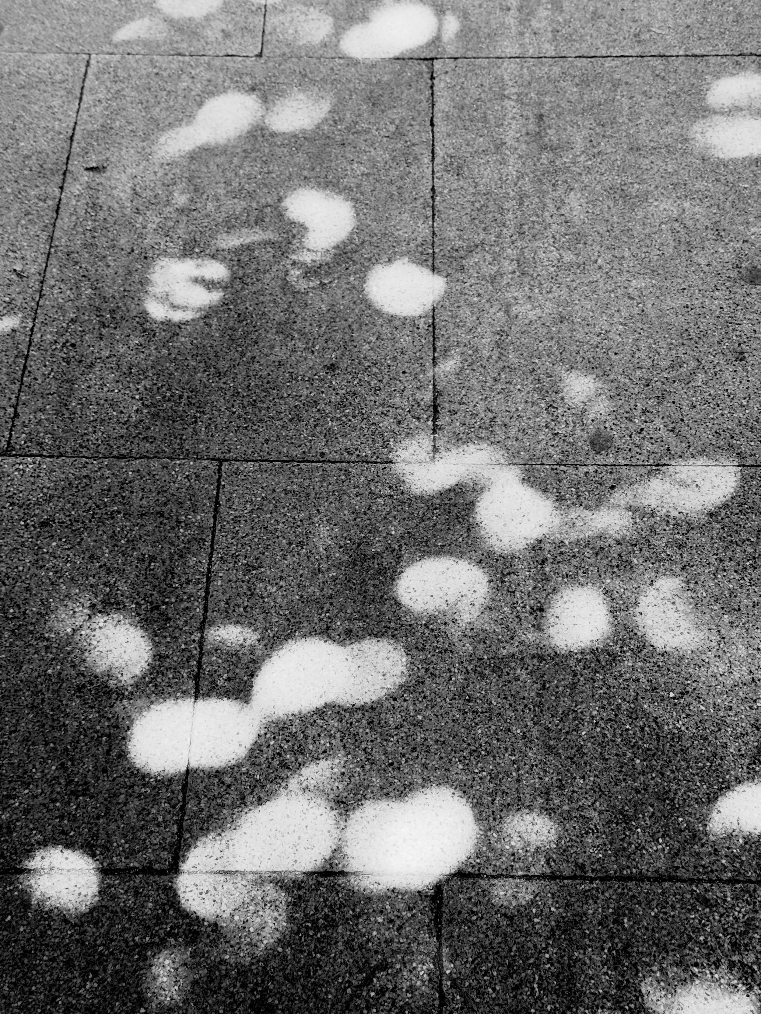 Instante&hellip;La luz de una mirada.