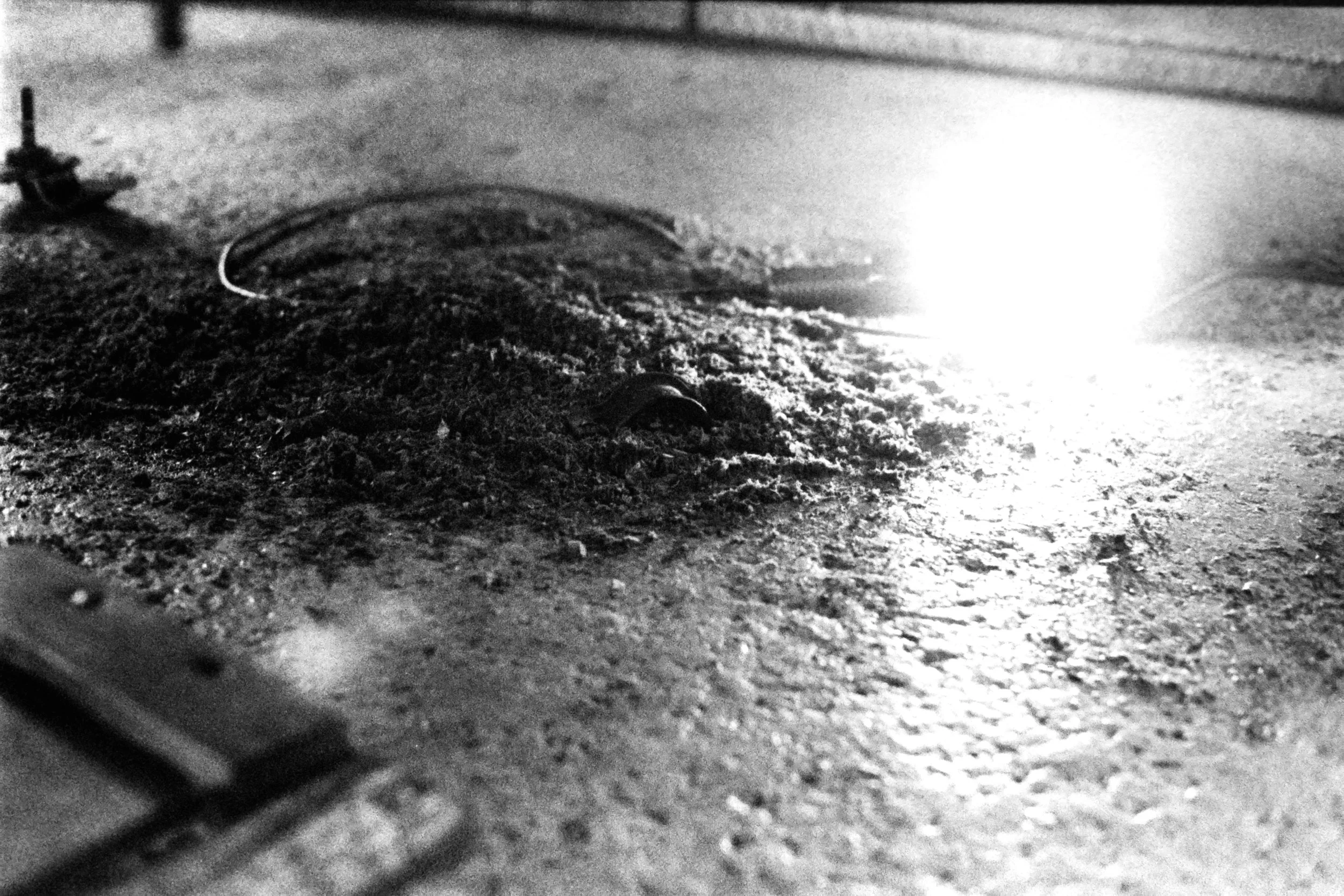 PICT0056.JPG