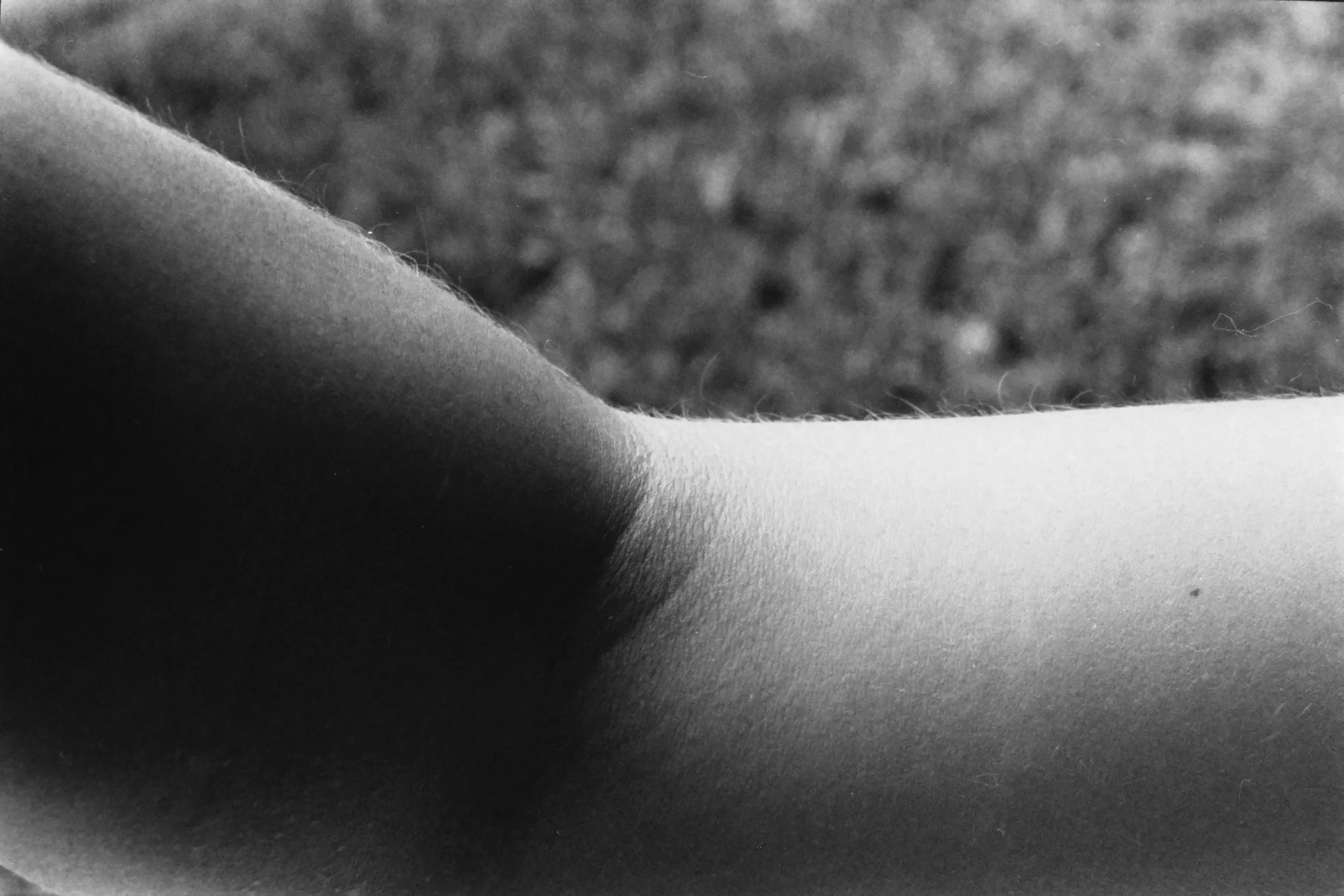PICT0006.JPG