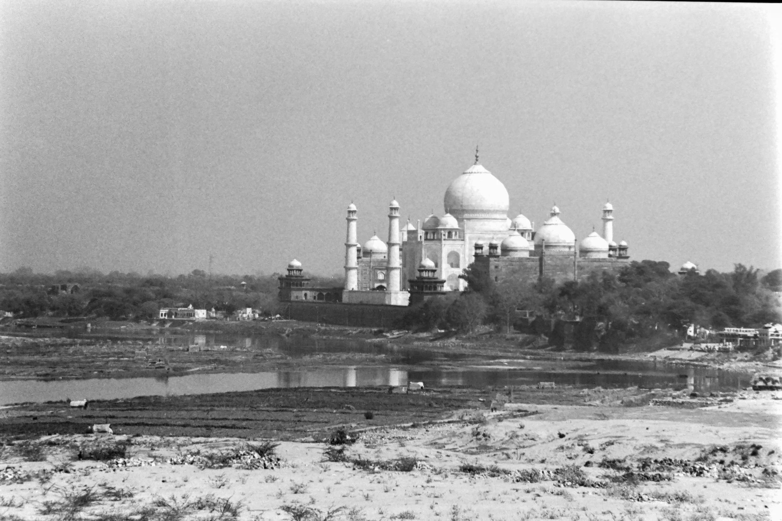PICT0800.JPG