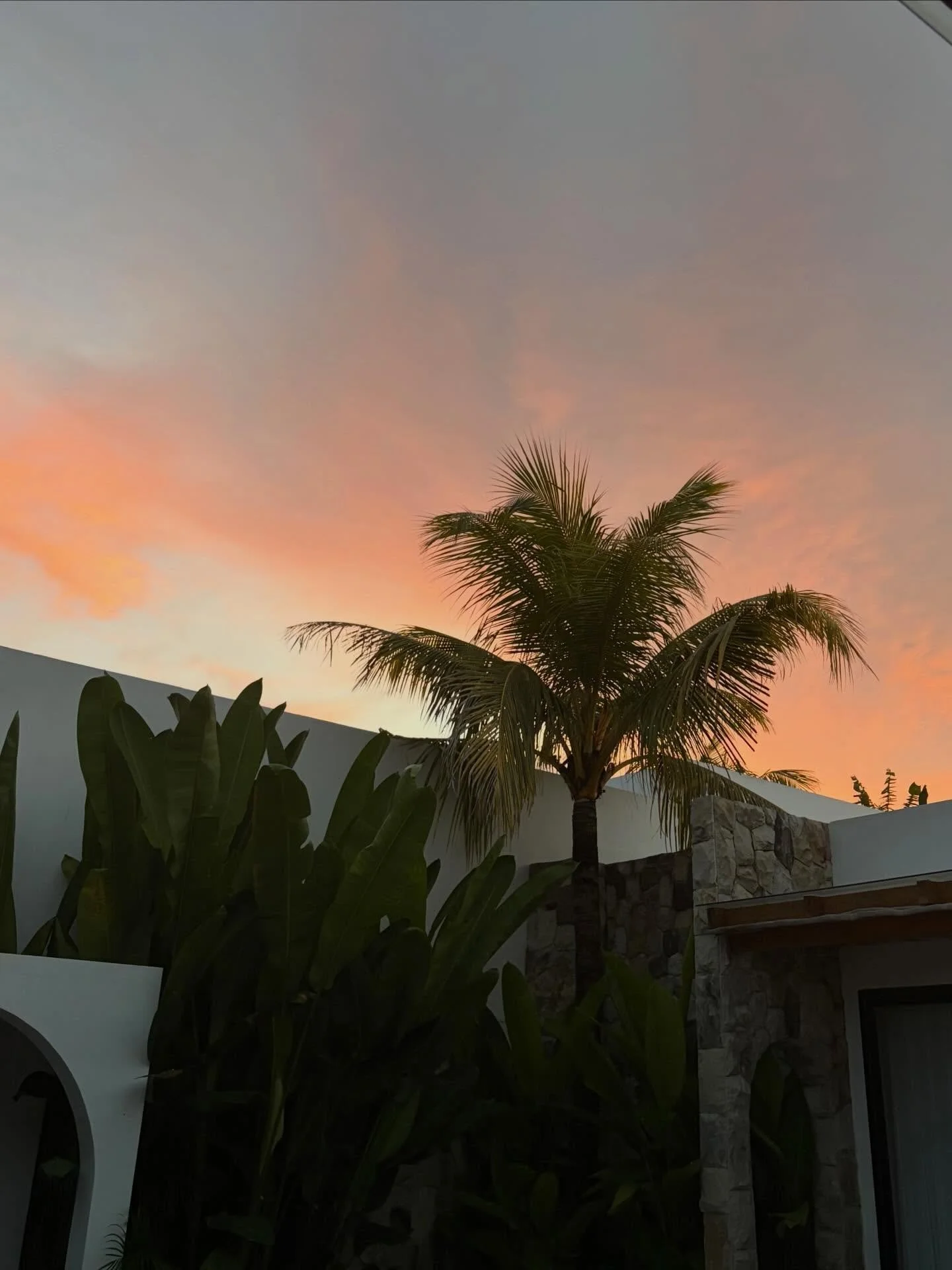 Final few days in Bali&hellip; operating at a slower pace but just grateful to be able to enjoy it🌞

Photo 5 was my first proper food in 4 days and it was genuinely the best dry toast of my life haha. Final photo is the food I managed today - I&rsqu