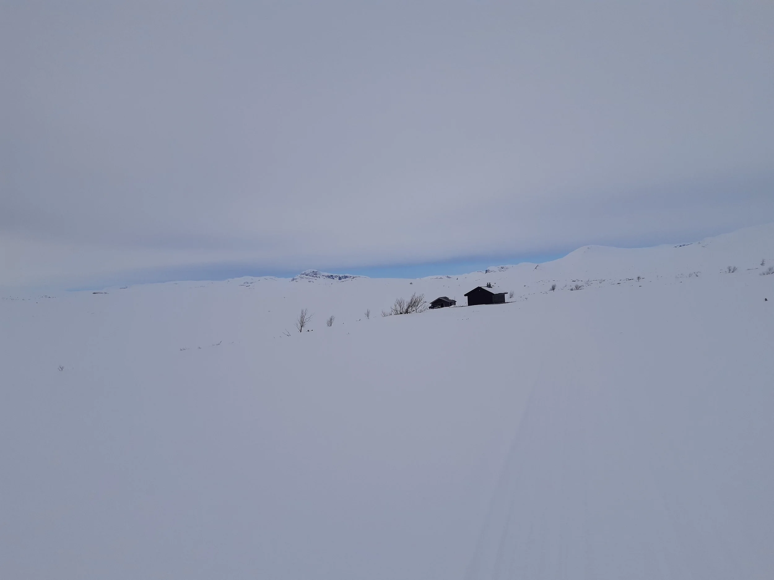 20210317_105005.jpg