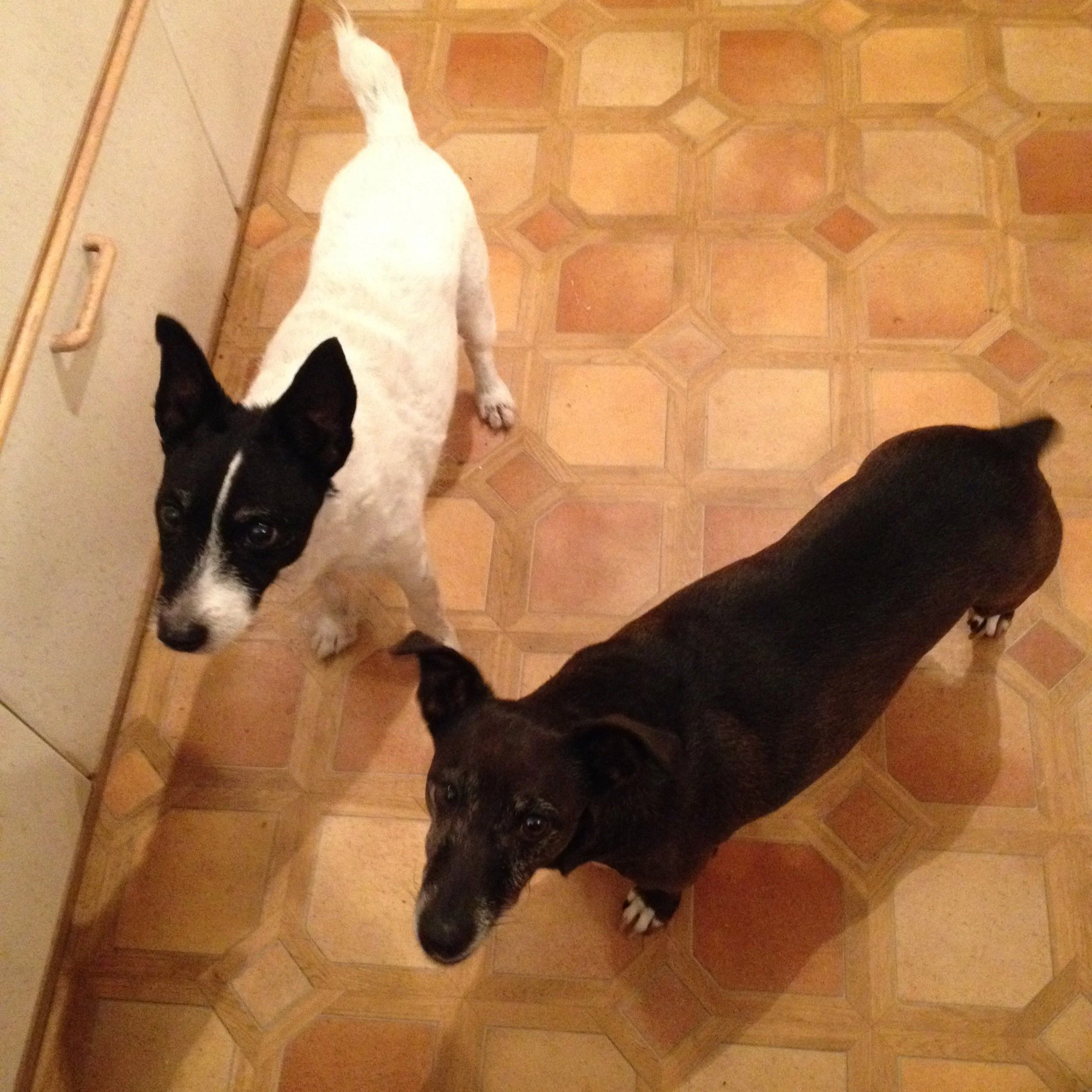 Titch and Millie.jpg