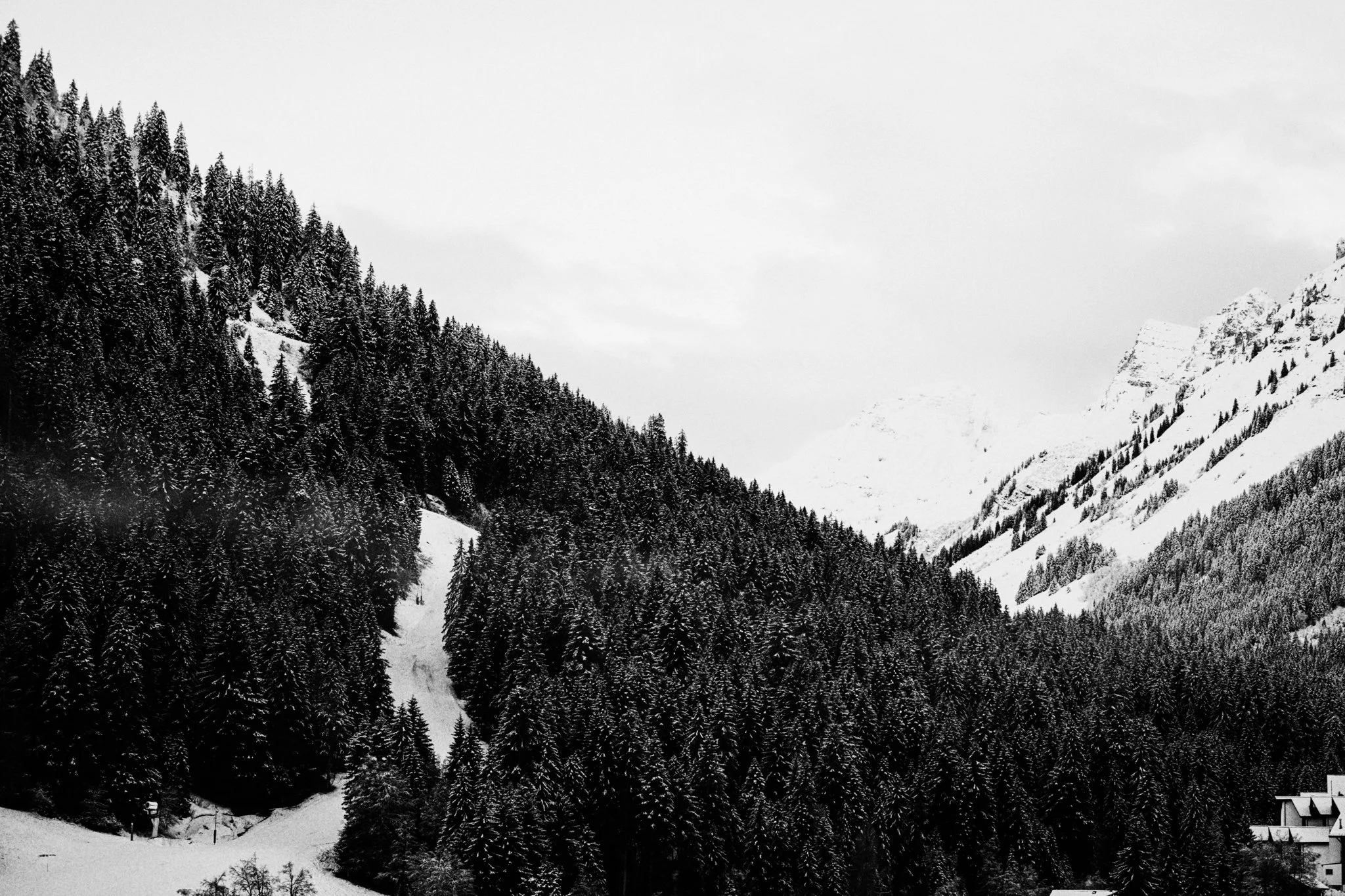 mathurin-napoly-matnapo-aGQTwfa3Qgc-unsplash.jpg