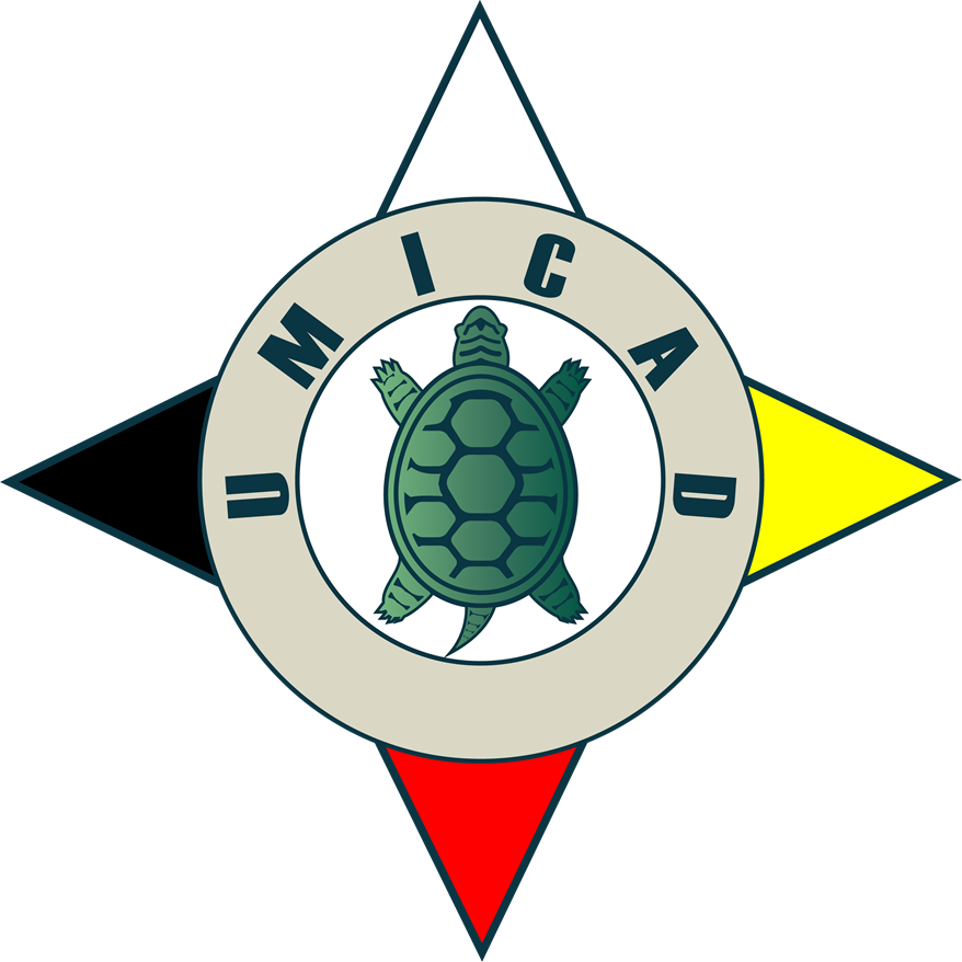 Upper Midwest Indian Council on Addictive Disorders