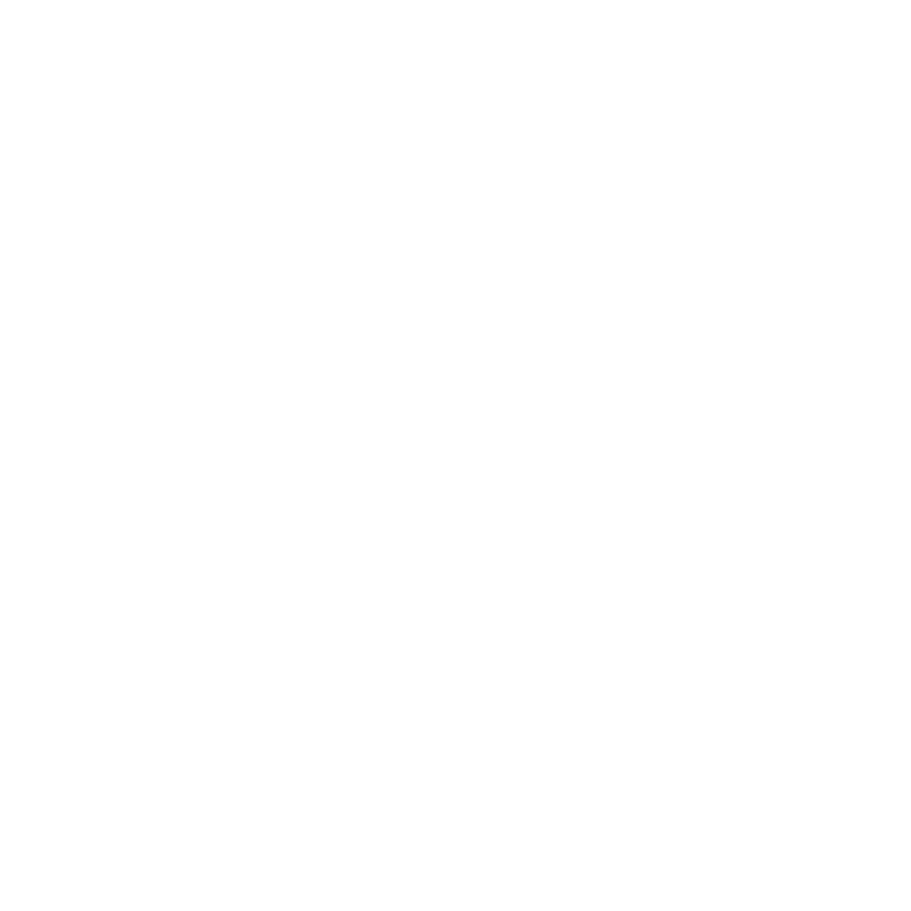 Engage with Government Strategy