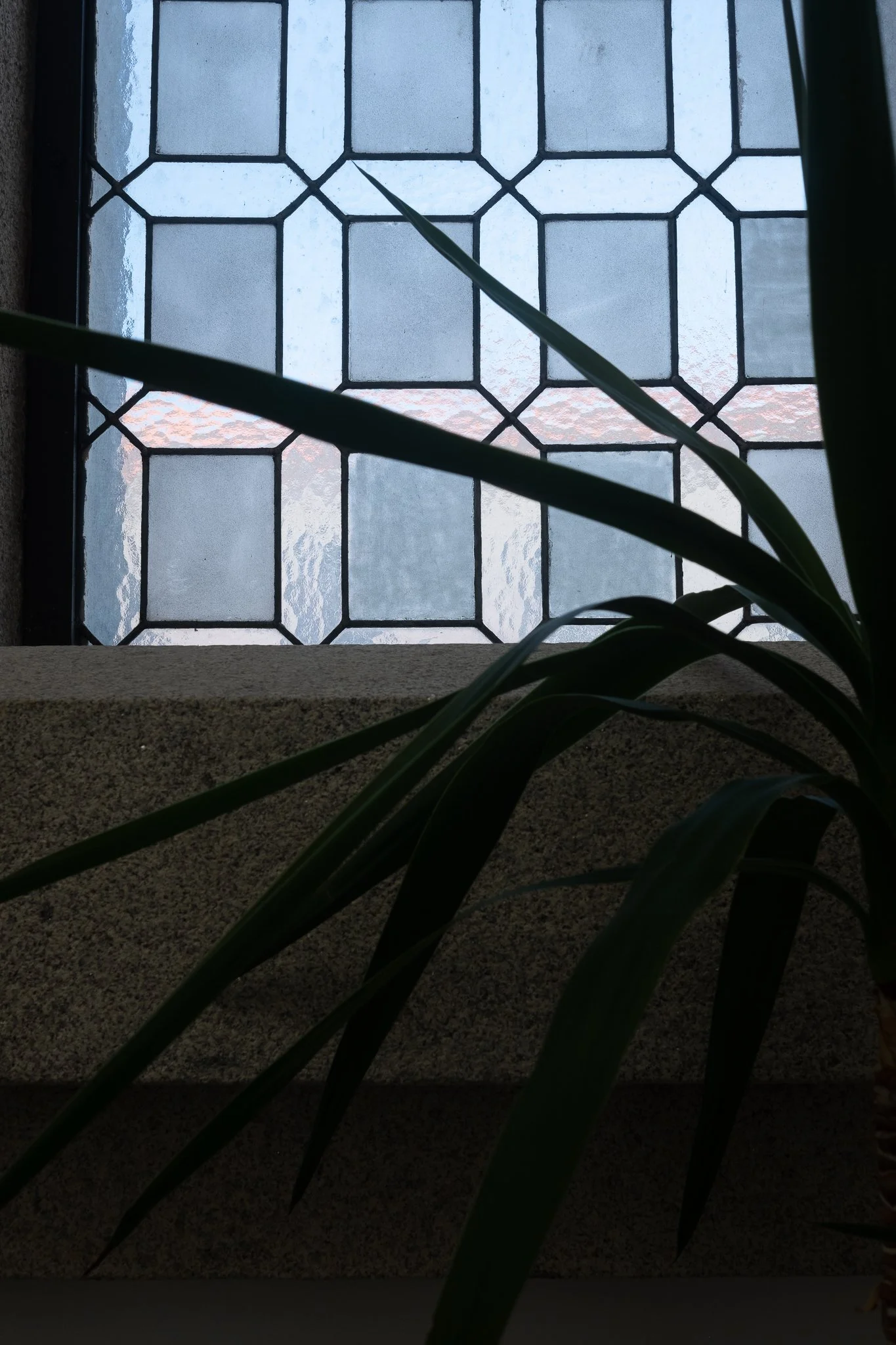 Caminha-11.jpg