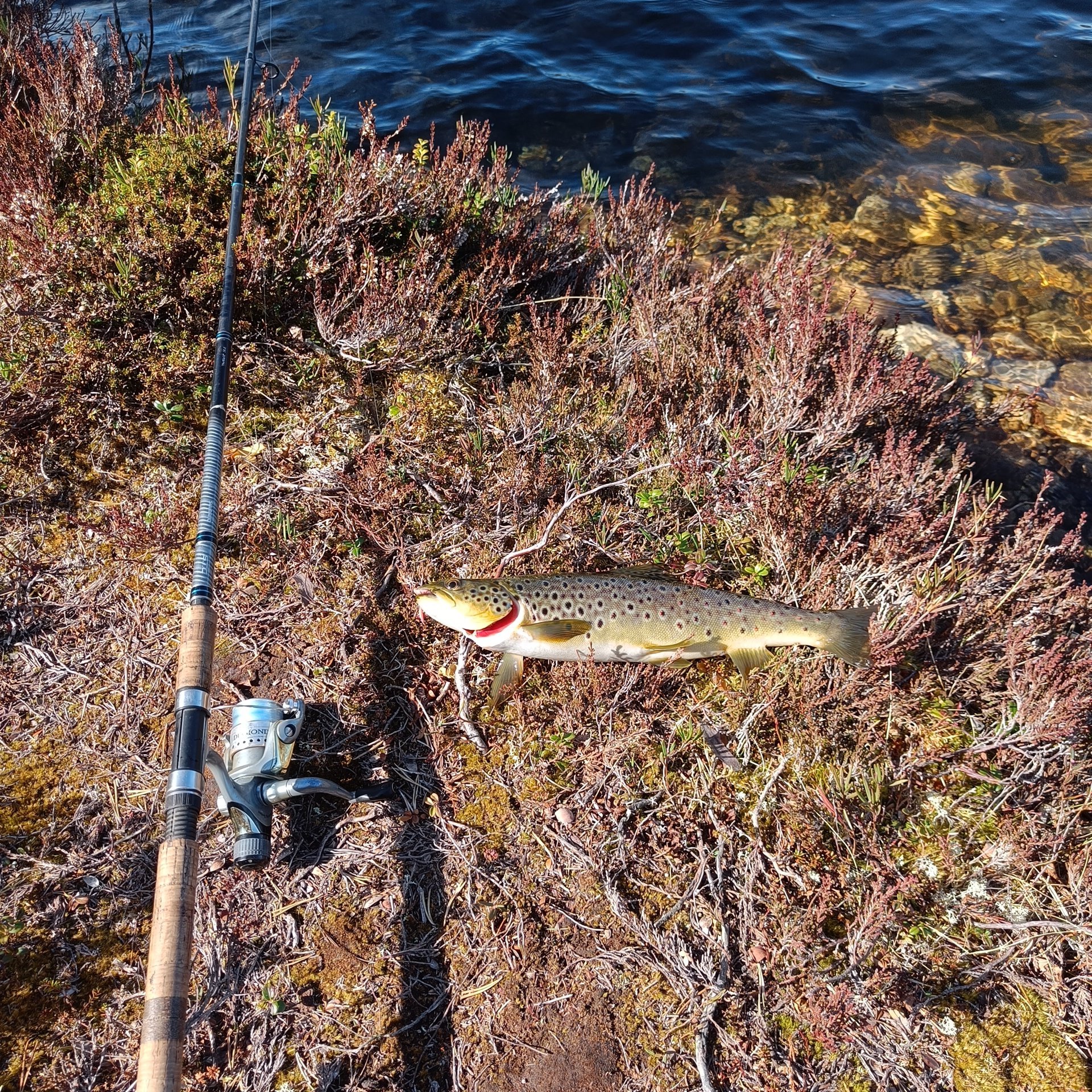 Fiskesesongen er i gang!