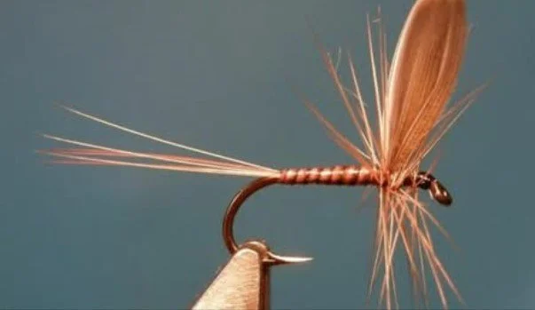 Fluebindekveld med Femund JFF 21. januar kl. 18