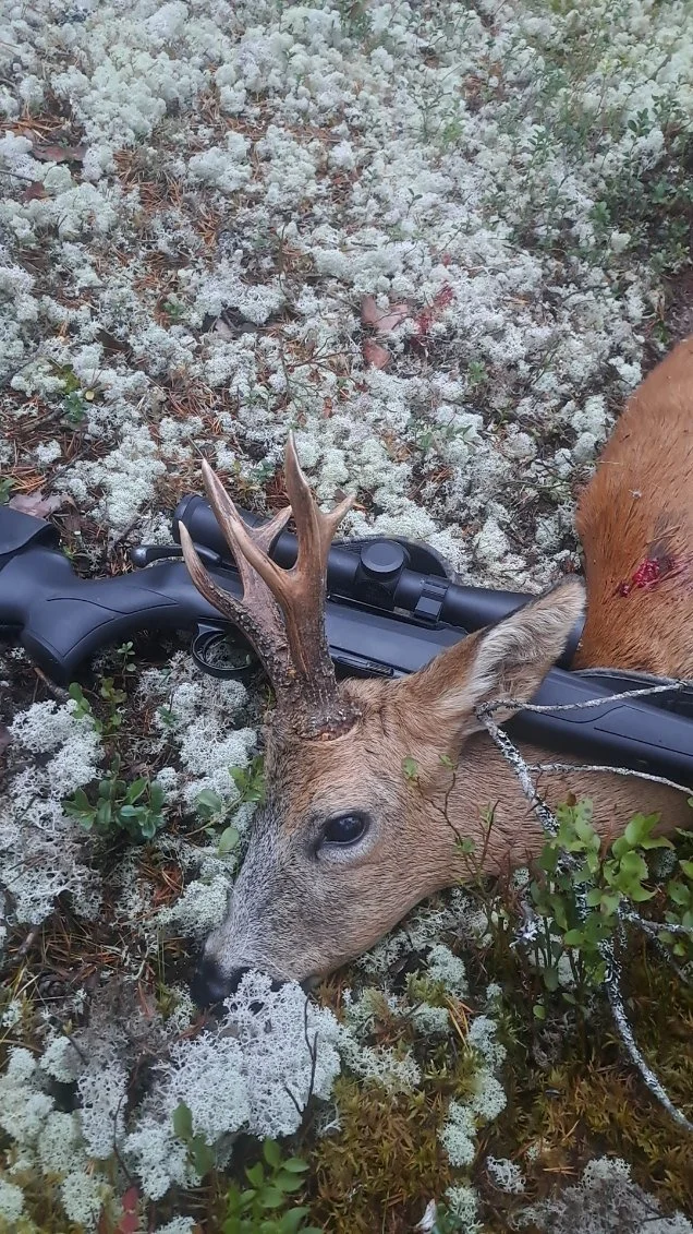 Bukkefall i Sømådaln.