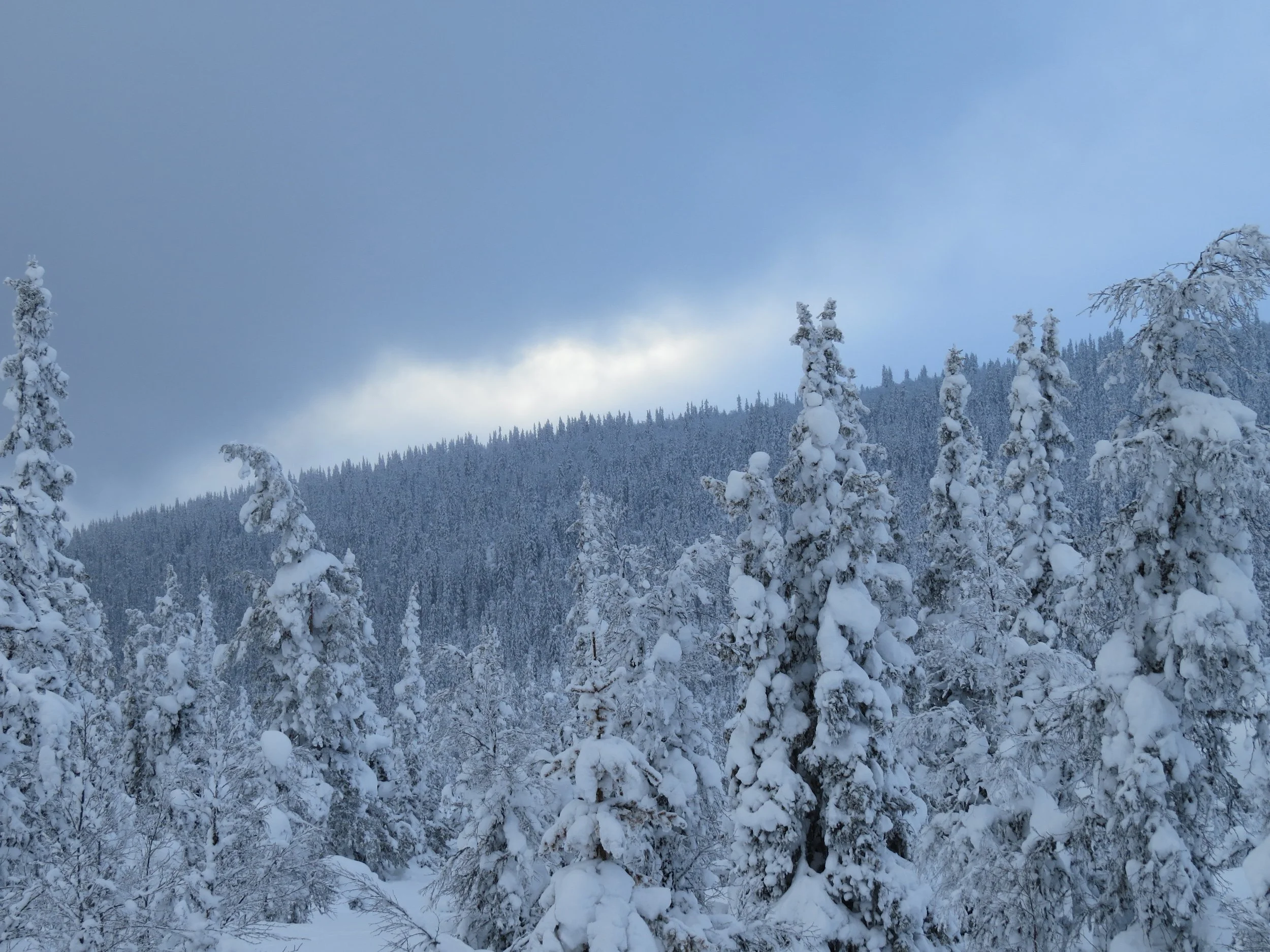 Protokoll fra styremøtet den 16. februar. 