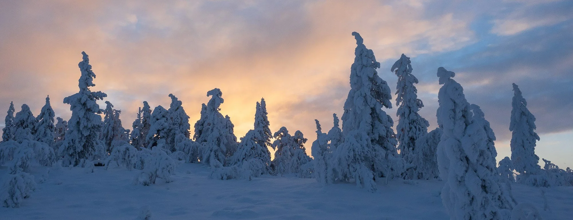 Innkalling til fjellstyremøte