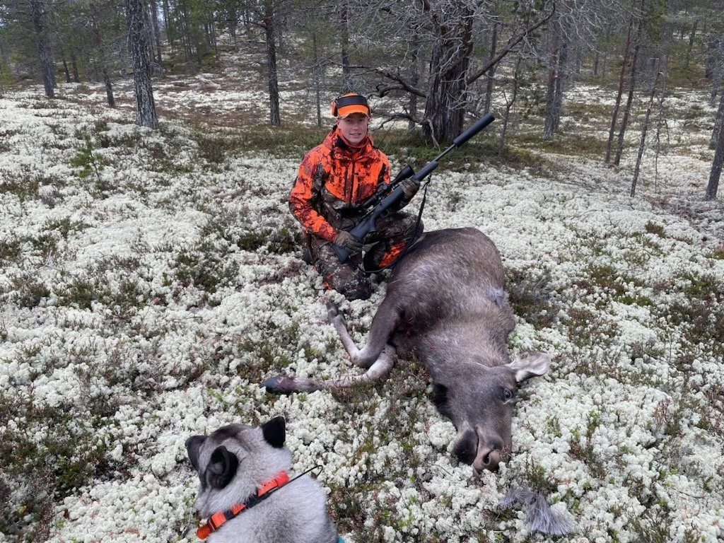 Bra med elgfall i dag.