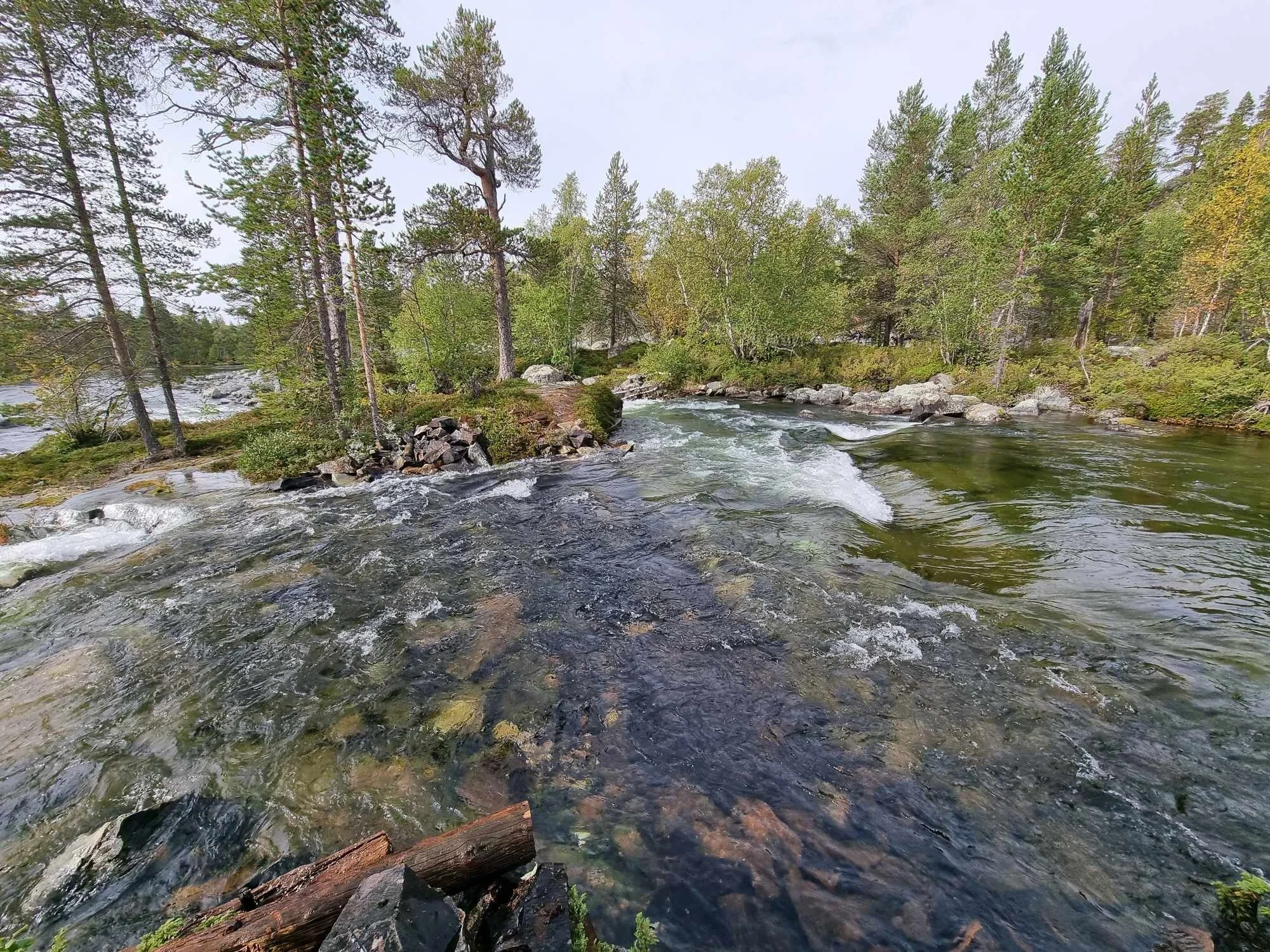 Skådam Storbuddhåen3.jpg