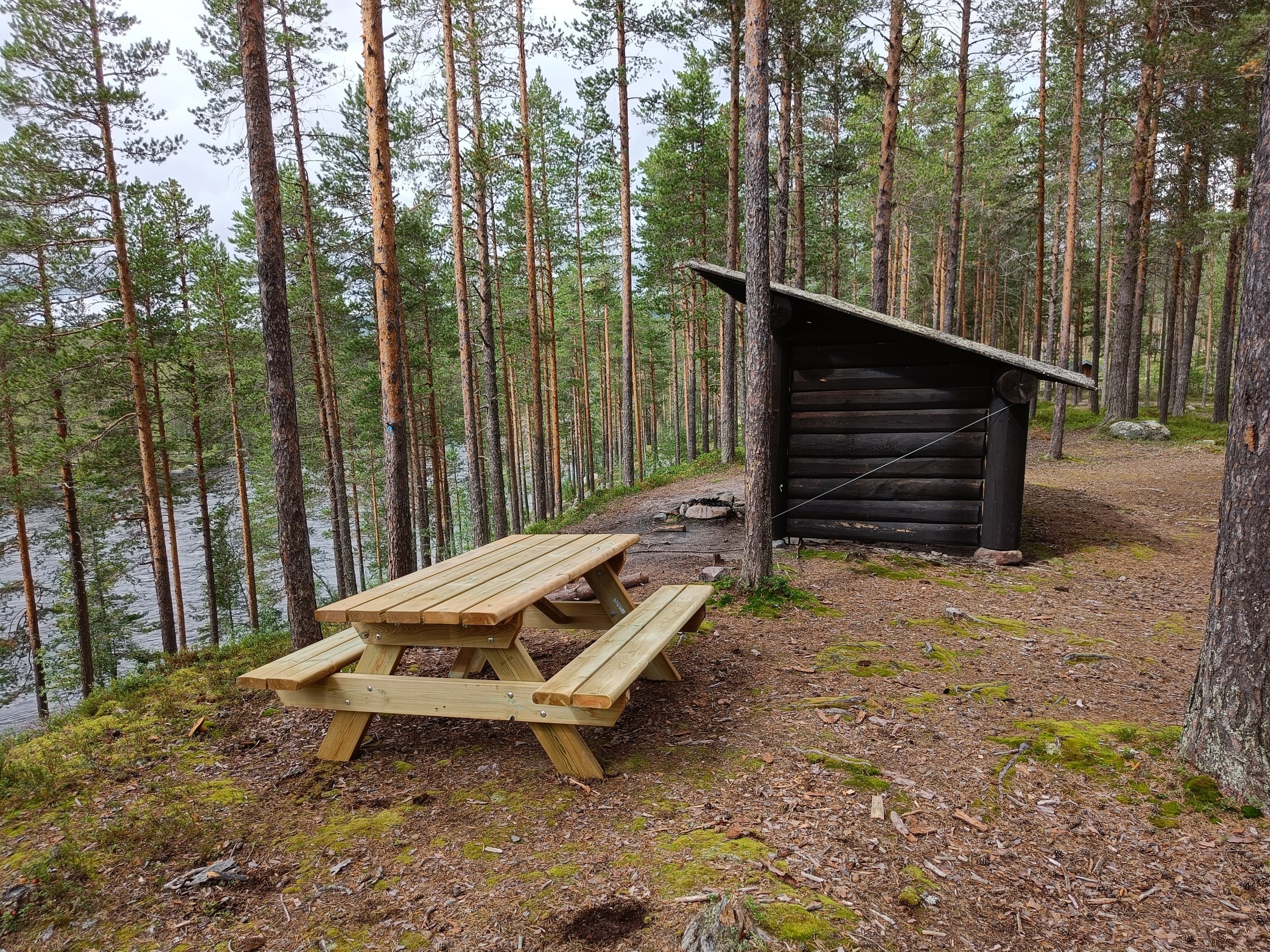 Stengte skogsbilveier