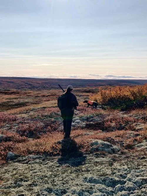 Minner om søknadsfristen på rype og skogsfugljakt