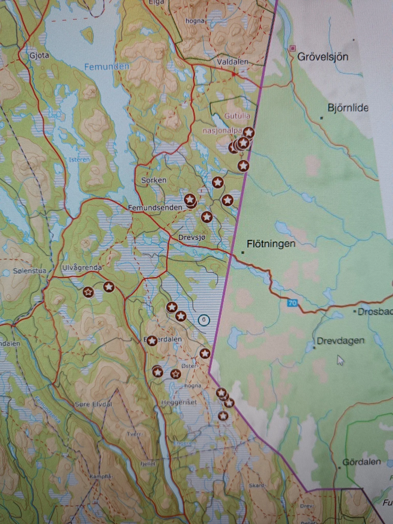 Økende bjørnetrafikk