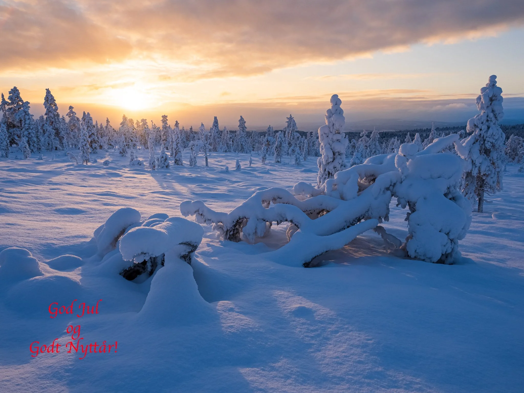 God Jul og Godt Nyttår!