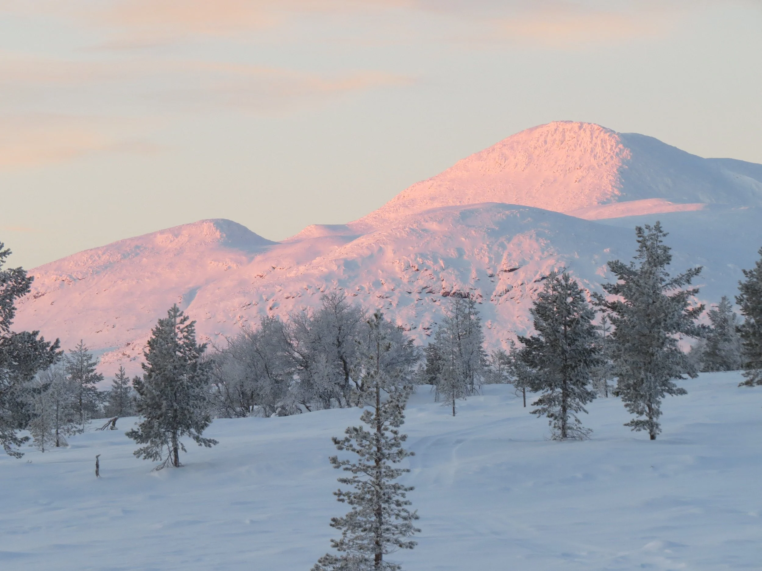 Innkalling til årets siste Fjellstyremøte.