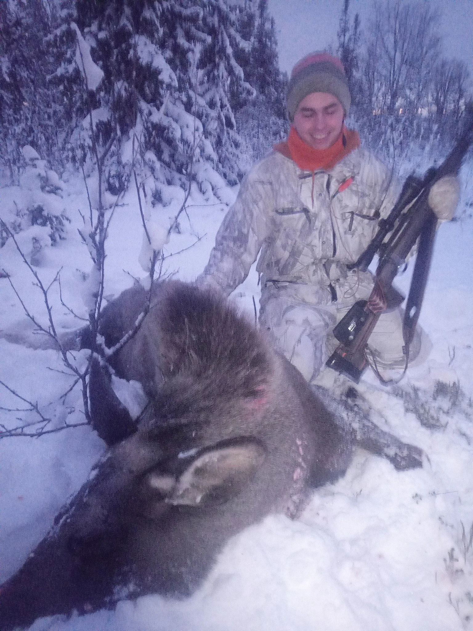 Elgjakta over på Statsallmenninga