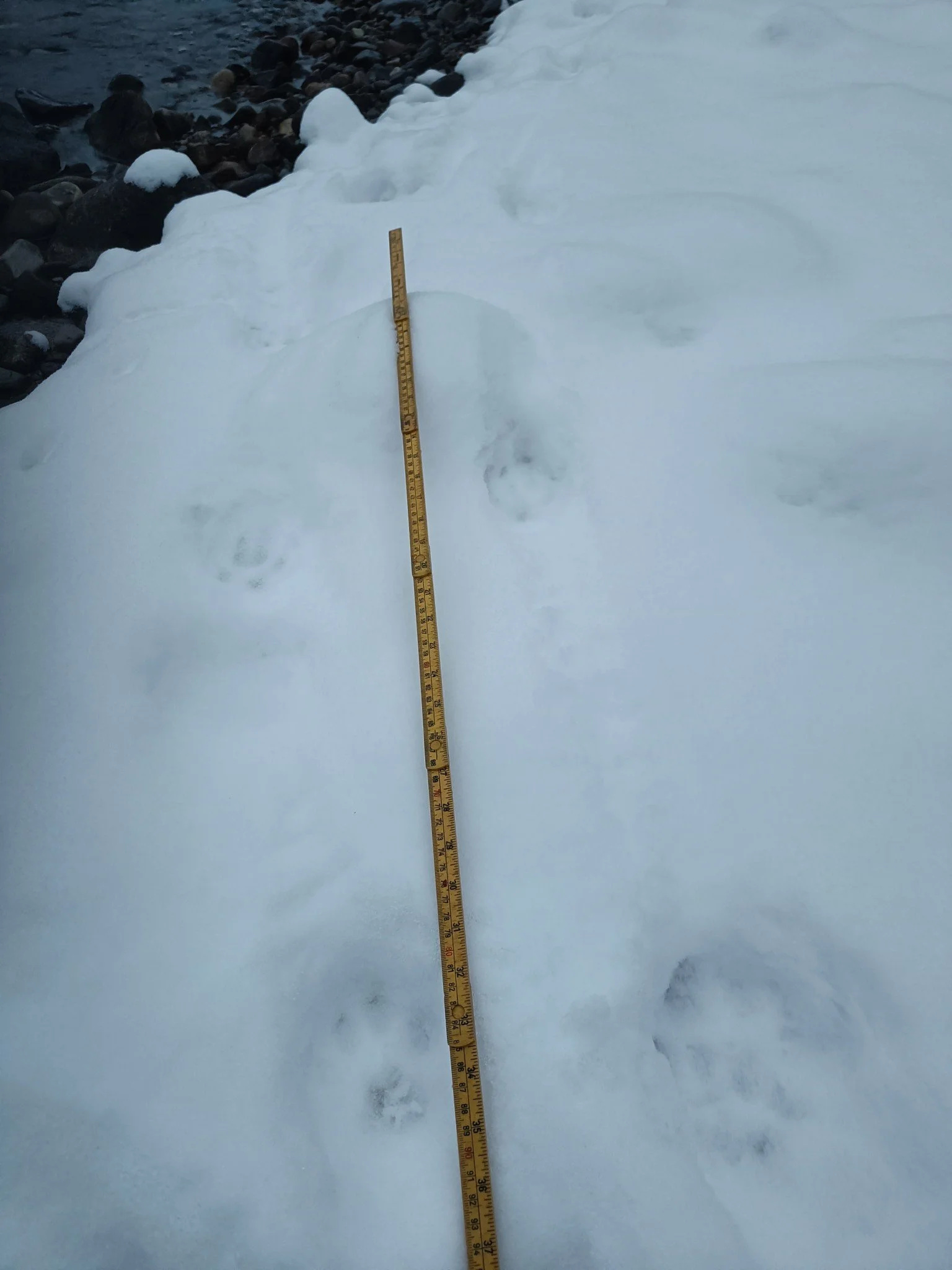 Elgjakta snart over på statsallmenninga