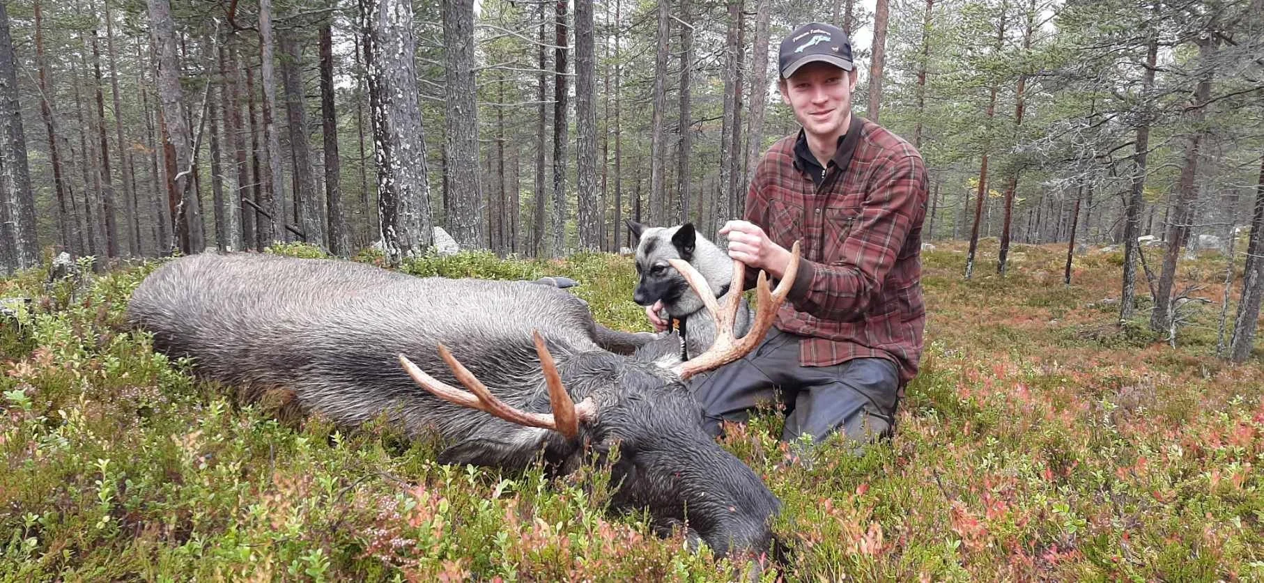 Førtse jaktlaget ferdig med elgjakta.