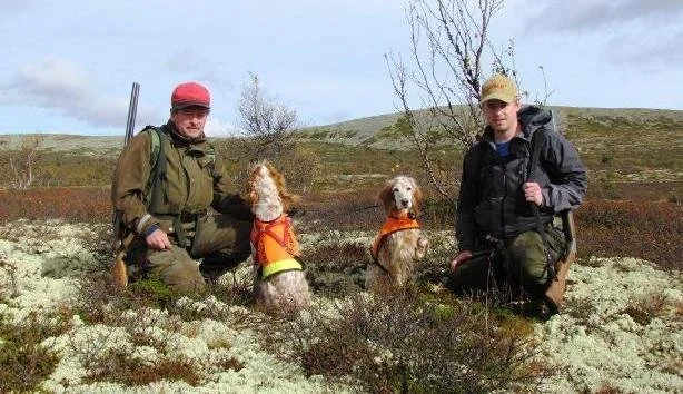 Trekning og tildeling av sesongkort for jakt på ryper og skogsfugl.