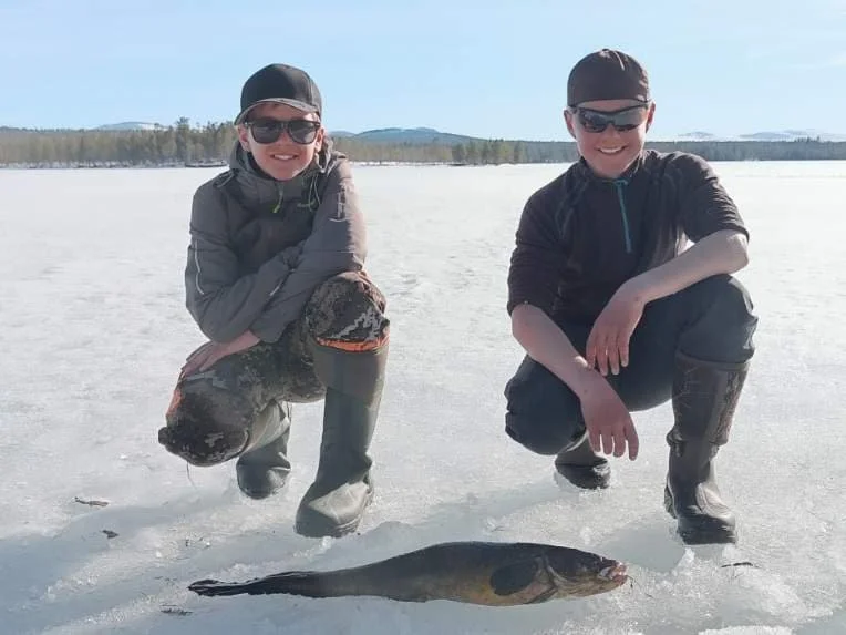 Fiskeglede i finværet