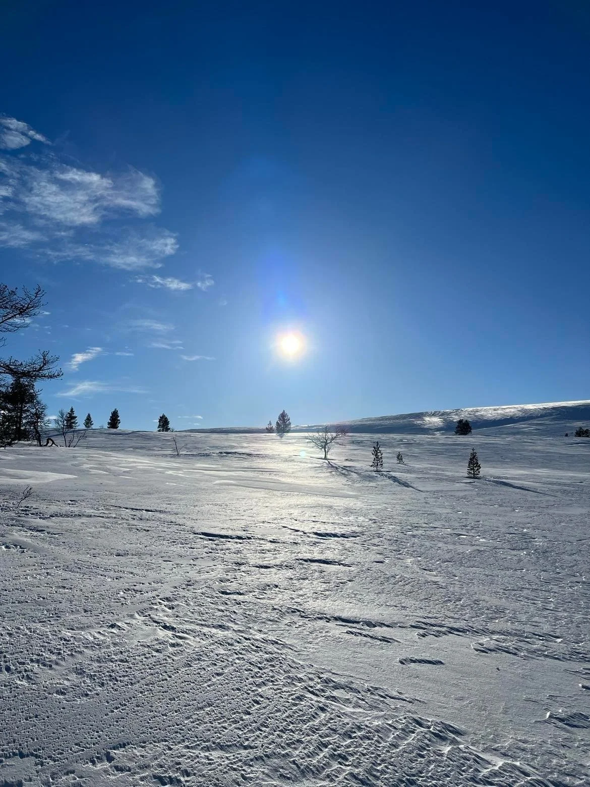 Protokoll fra fjellstyremøtet 5. april er klar.