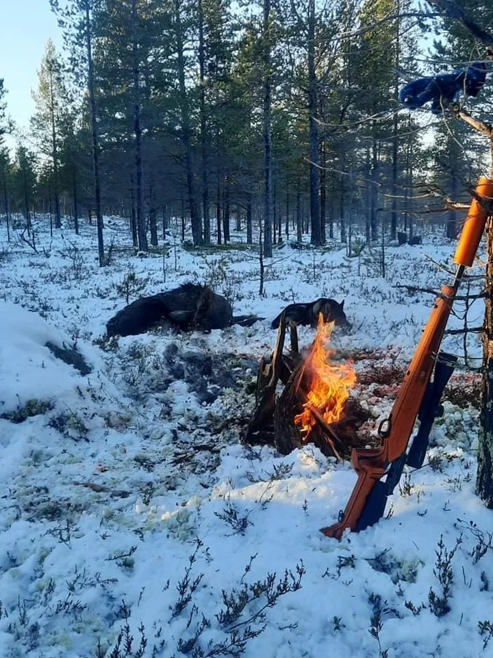 Snart slutt på elgjakta.