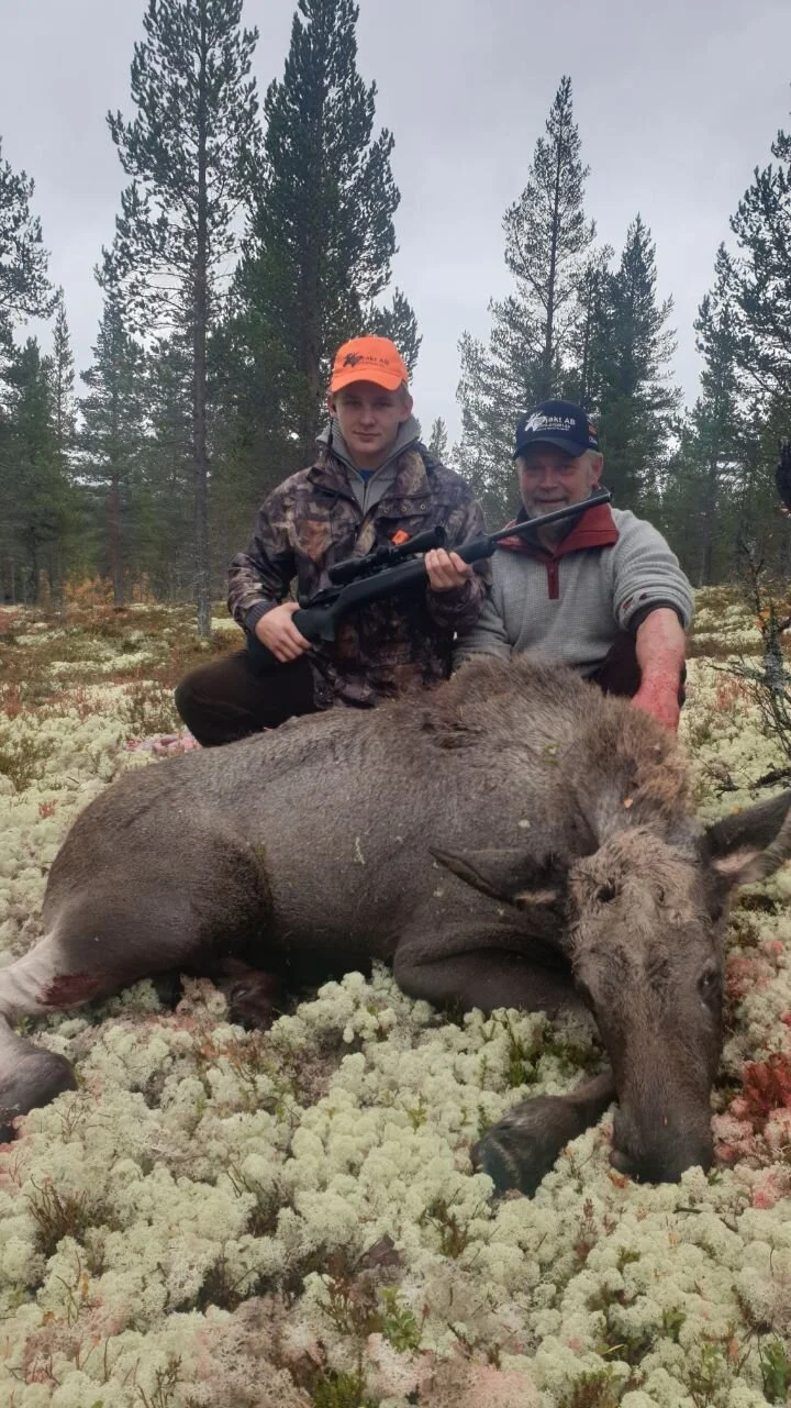 Fortsatt få elgfall.