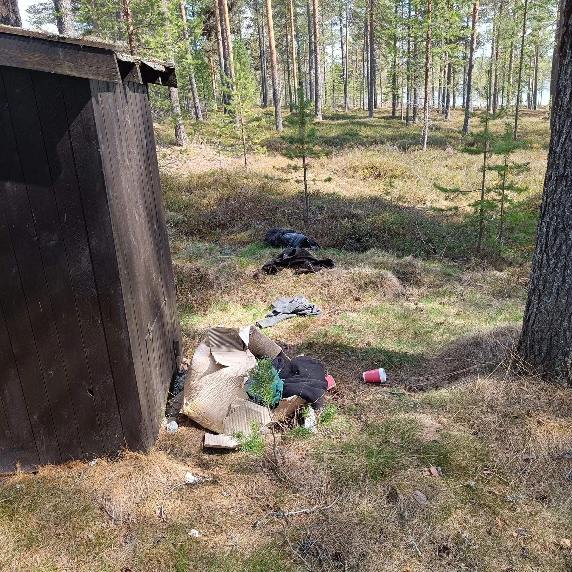 Trekking av rådyrjakt 2025