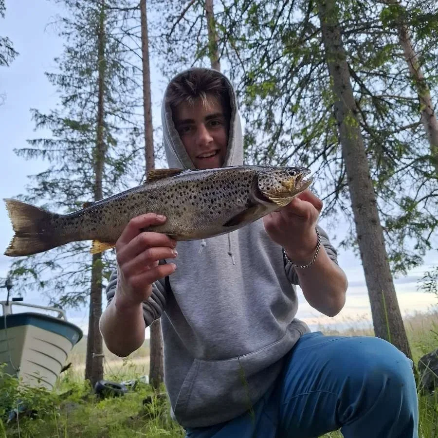 Action på Vurrusjøen!