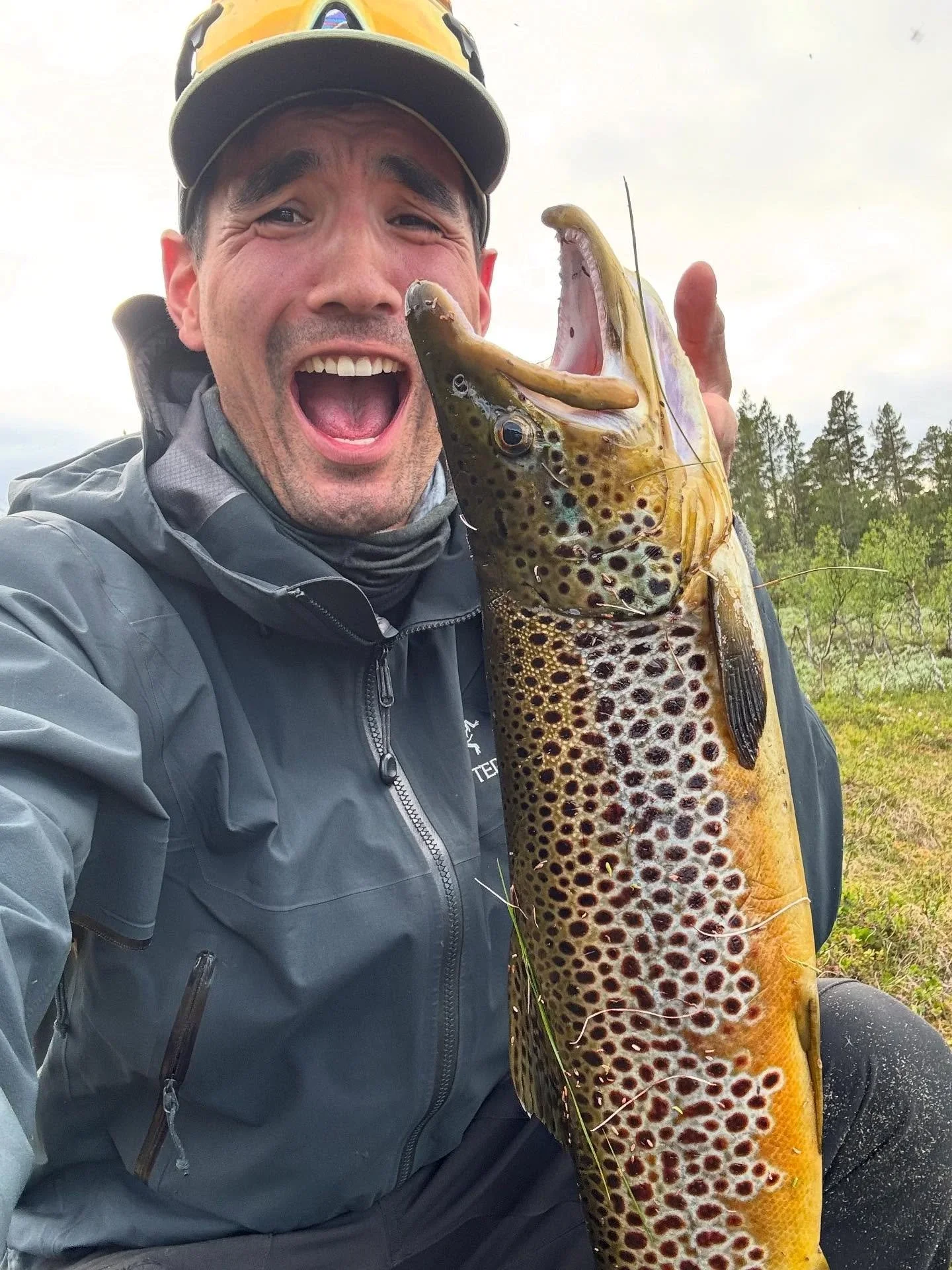 Med tørrflua på rett sted til rett tid