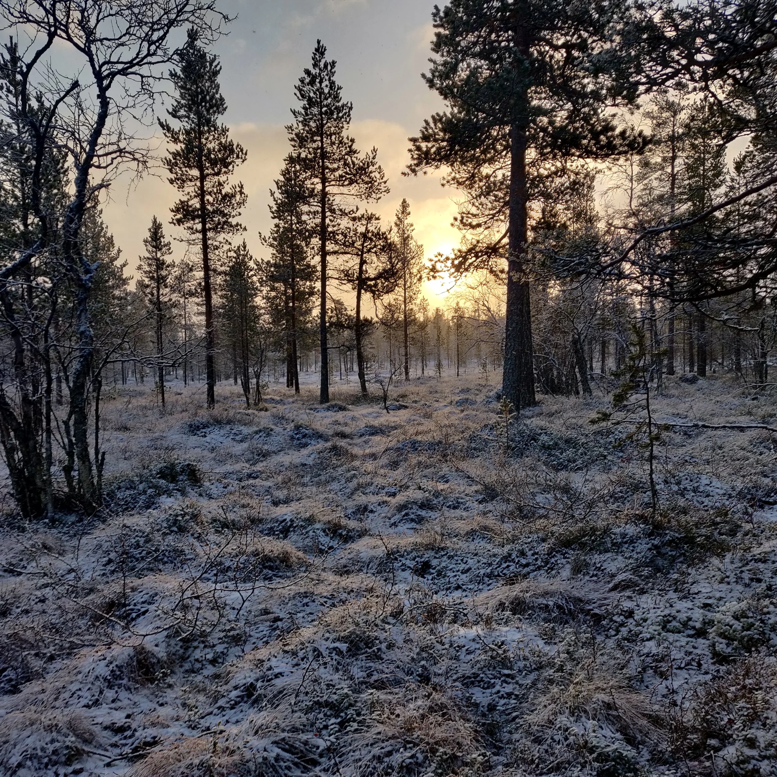 Protokoll fra Fjellstyremøte den 13. november.