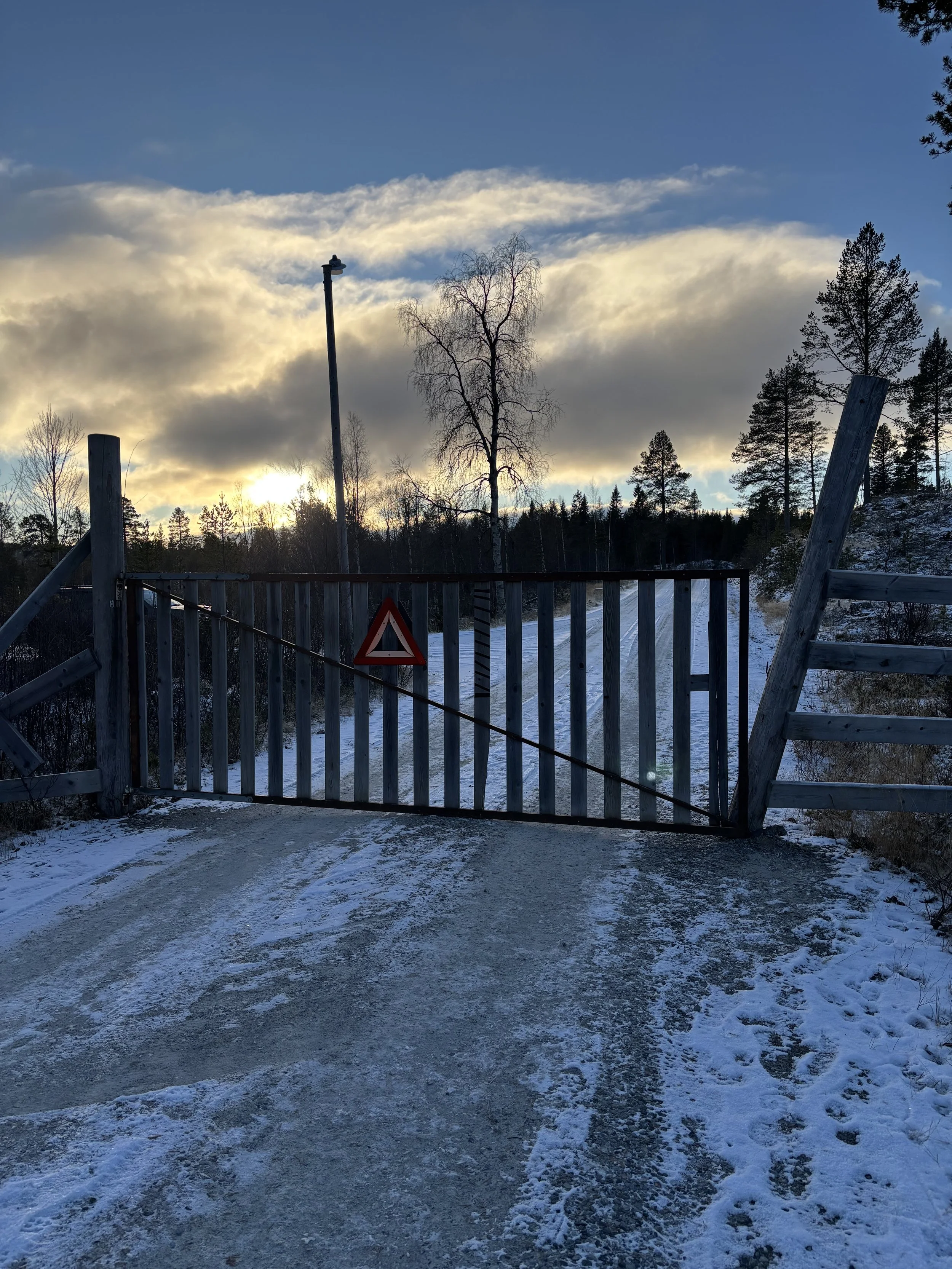 Grinf reinbeite 2.jpeg