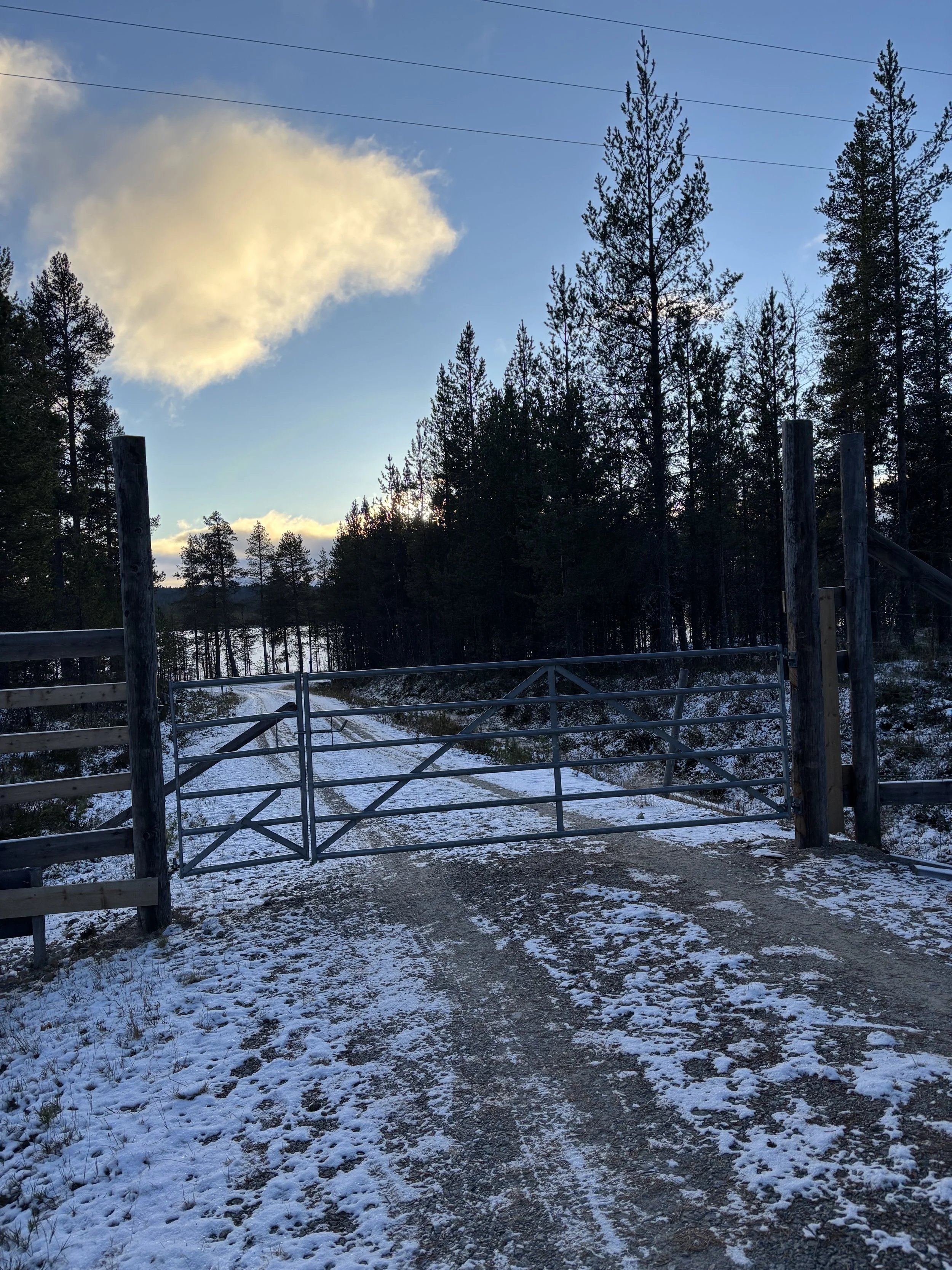 Steng grinder - rein samles.