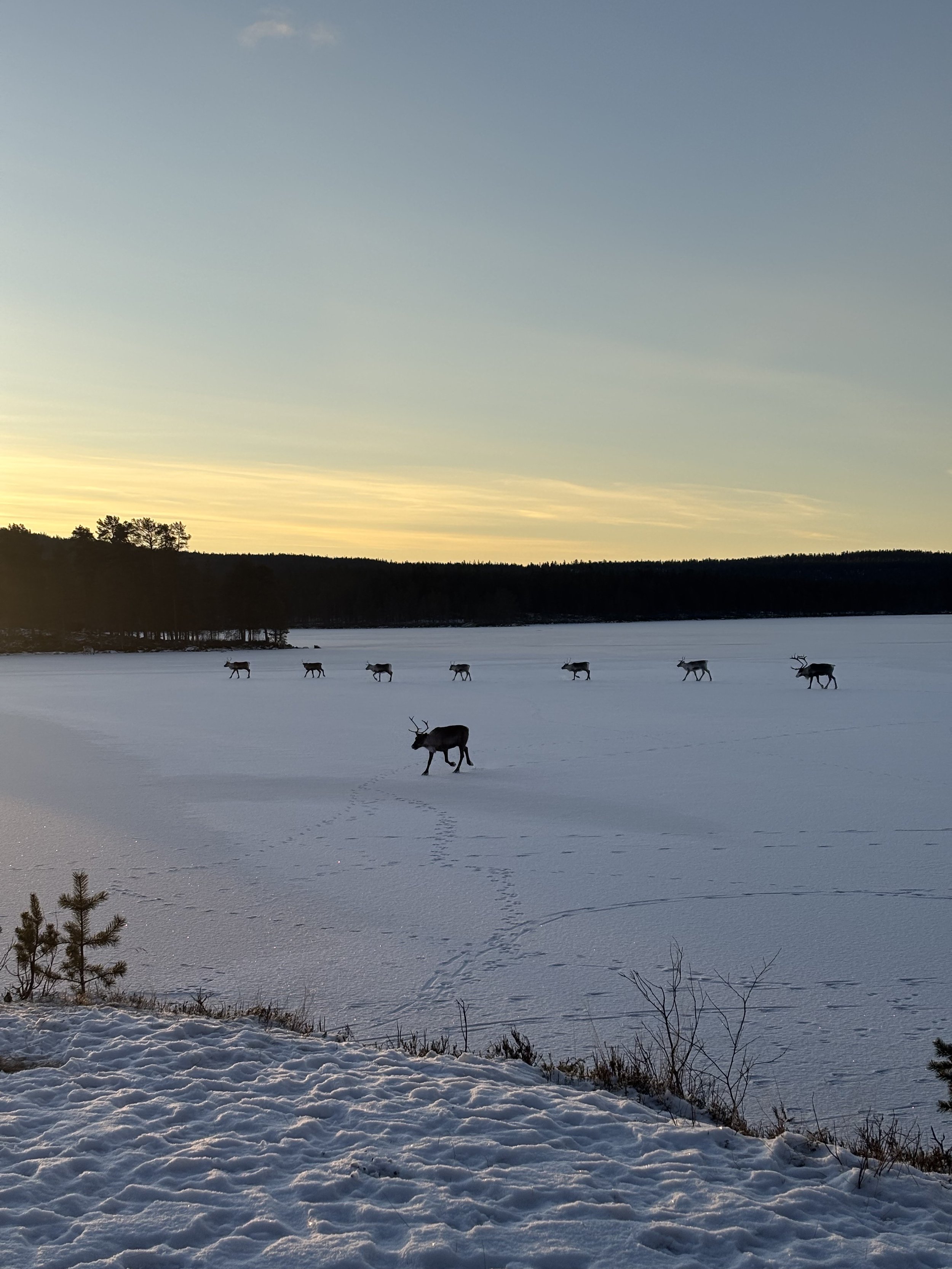 Isen er i ferd med å legge seg!