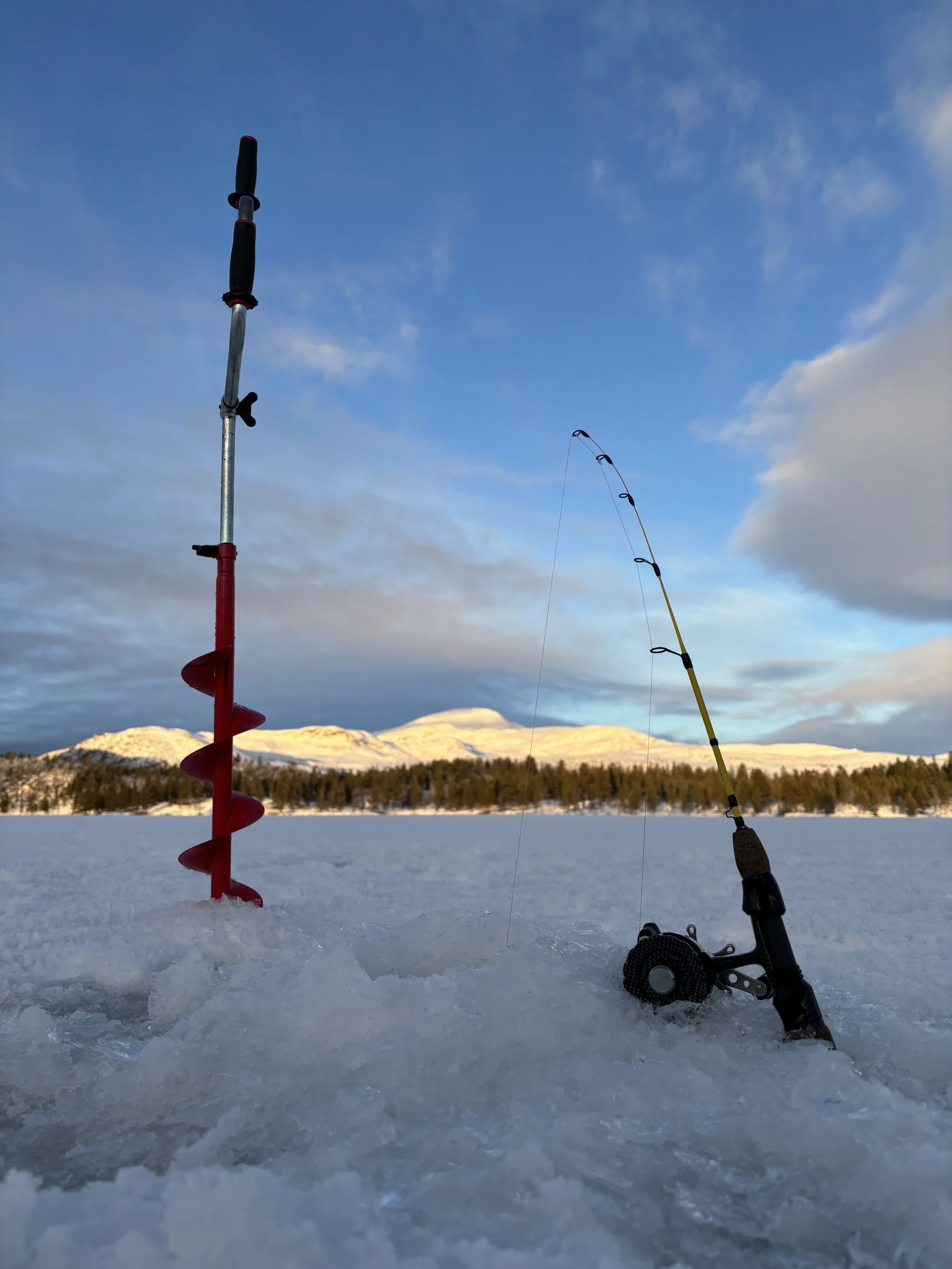 Vær og førerapport