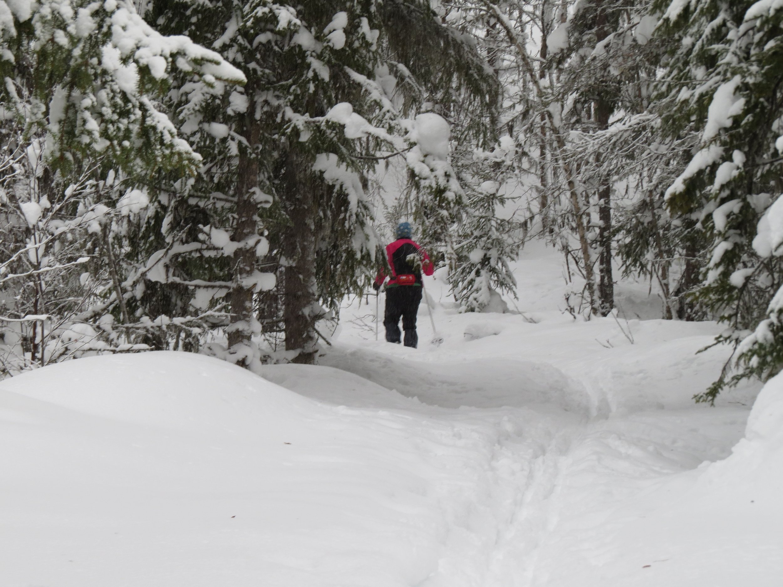 Protokoll fra Fjellstyremøtet.