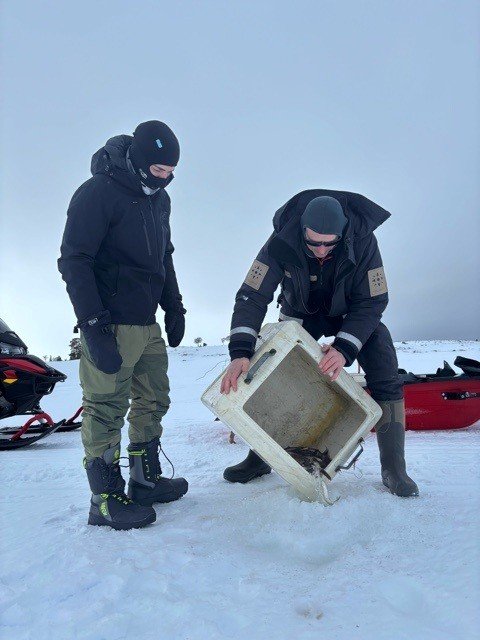 Vinterens fiskekultivering er i gang.