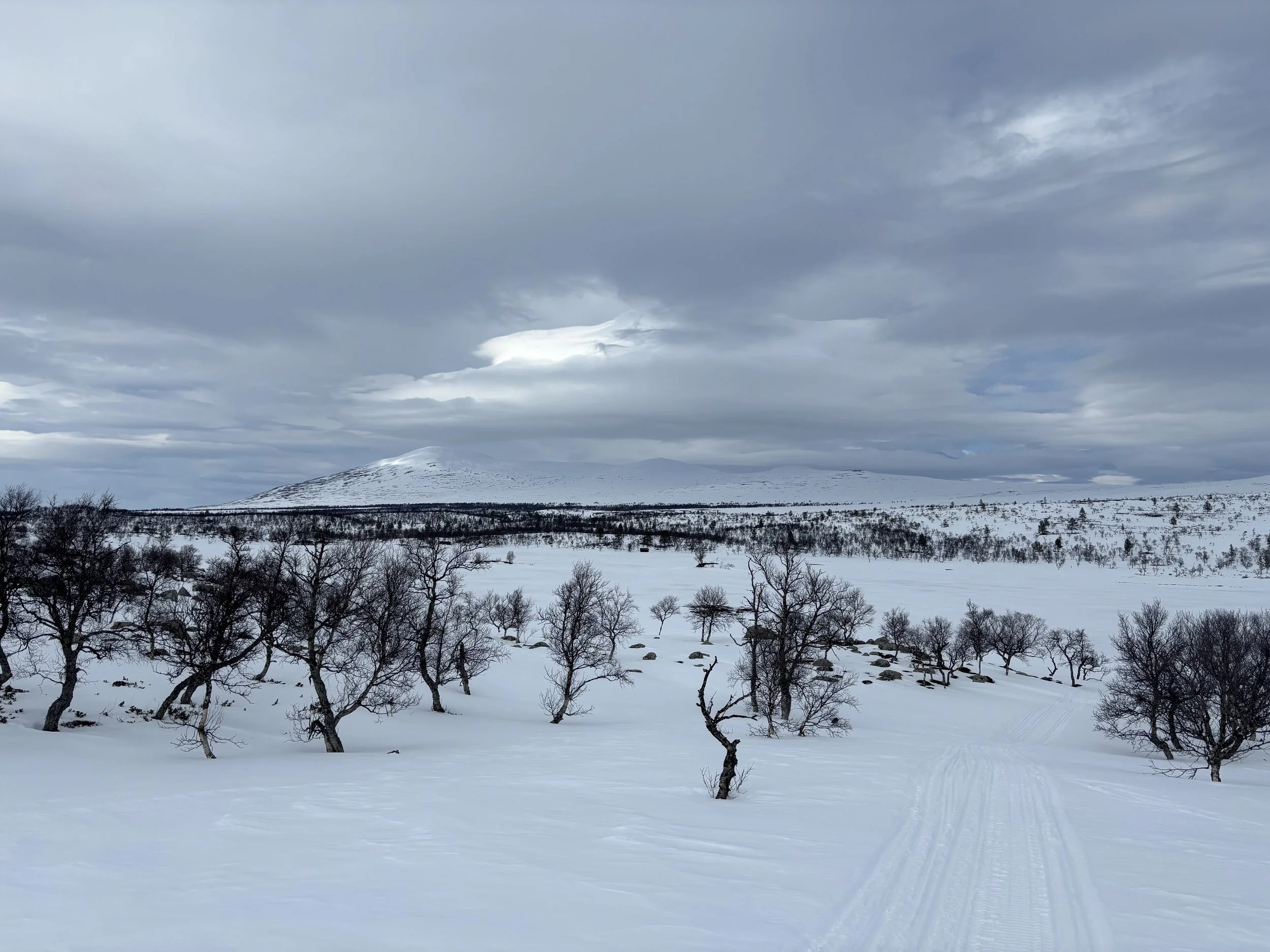 Fortsatt fint føre!