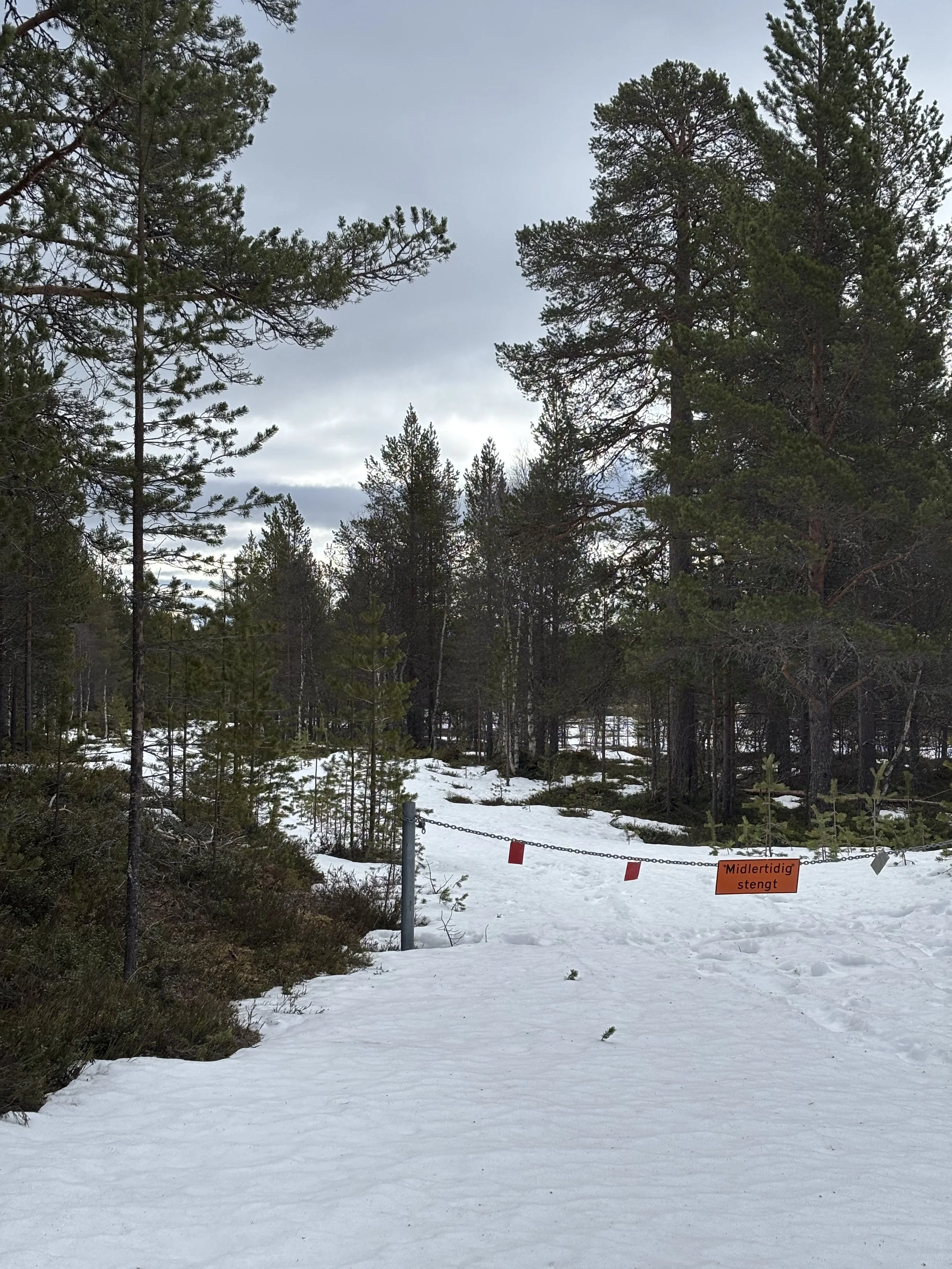 Status skogsbilveier