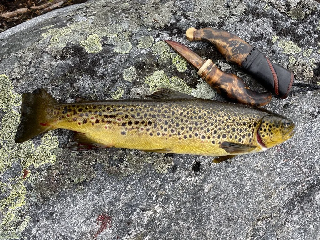 Fjellstyrekontoret uke 23.