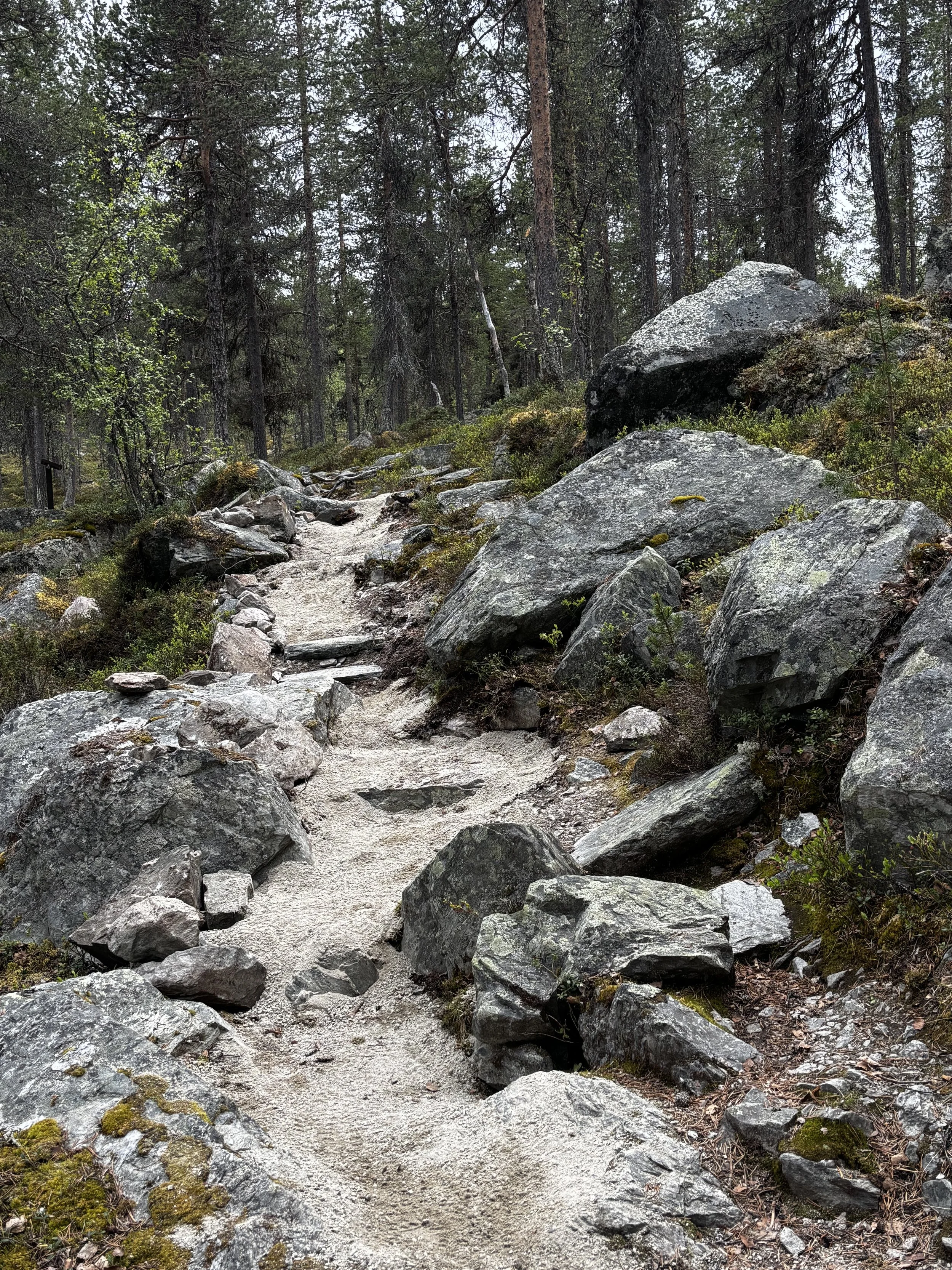 Snart sommer i Gutulia.