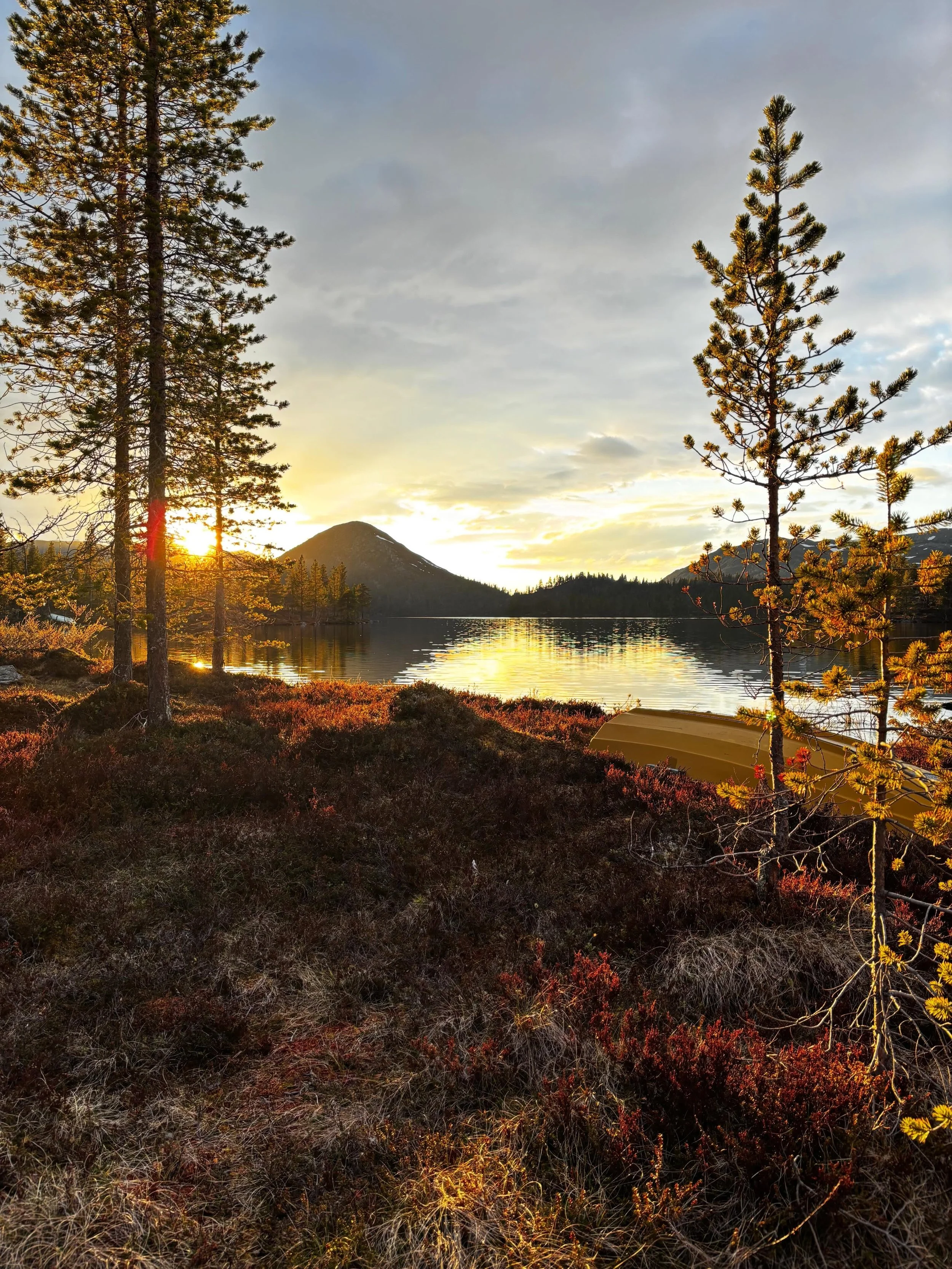 Fantastisk fint &aring; v&aelig;re p&aring; tur i Engerdal n&aring;. Det er lyst nesten hele natta, med fuglesang, fiskevak og solnedgang☀️

#engerdalfjellstyre #fjellstyrene #inatur #uteliv #opplevelser

Bilde er tatt ved  Hammarsj&oslash;en i Elg&a