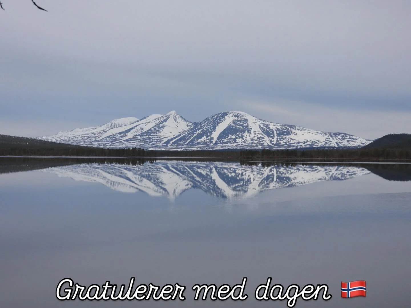 Gratulerer med dagen🇳🇴

#engerdalfjellstyre #fjellstyrene #inatur #femunden