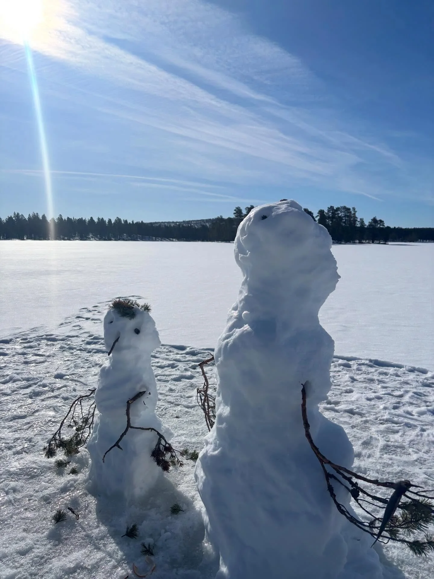 M&oslash;tte to fine herremenn p&aring; Sorksj&oslash;en i dag, med fiskelykke 😉! Nesten ingen ting sl&aring;r en v&aring;rfisketur p&aring; isen i april i str&aring;lende sol. Det er ett fantastisk f&oslash;re, bra is og v&aelig;ret som er sp&aring