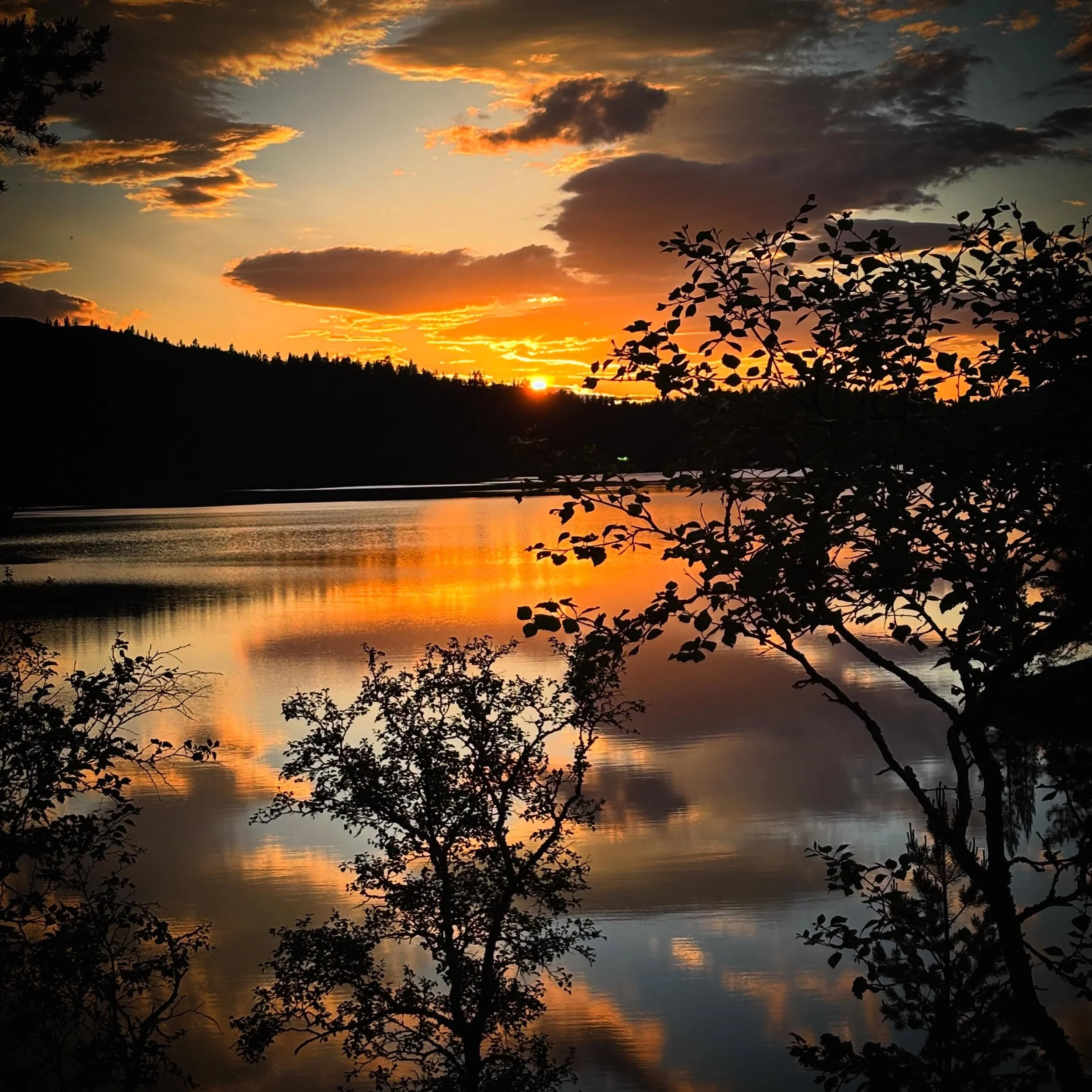 Fint ved Djupsj&oslash;en i kveld ☀️! 

#engerdalfjellstyre #visitnorway #opplevnorge #sol #sommer 

📷 Anette Aaen