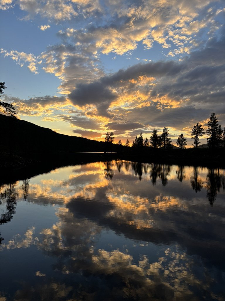 Fjellstyrekontoret uke 26-32